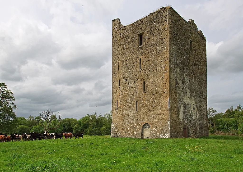 Photo showing: Castles of Leinster: Foulkscourt, Kilkenny (1)