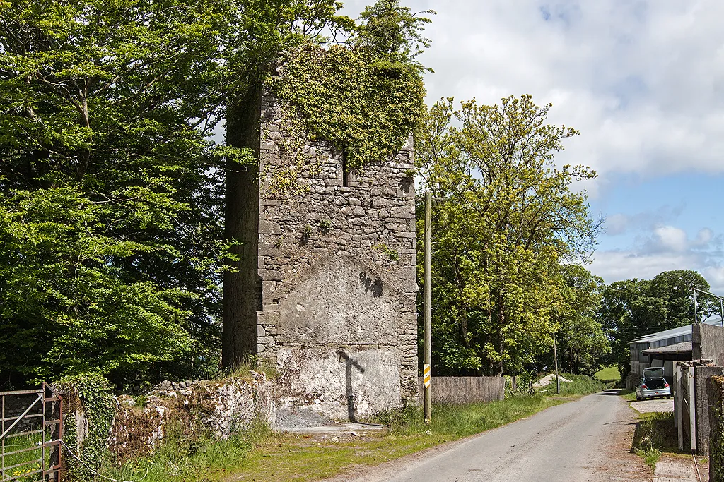 Photo showing: Castles of Leinster: Ballycuddihy, Kilkenny (2)