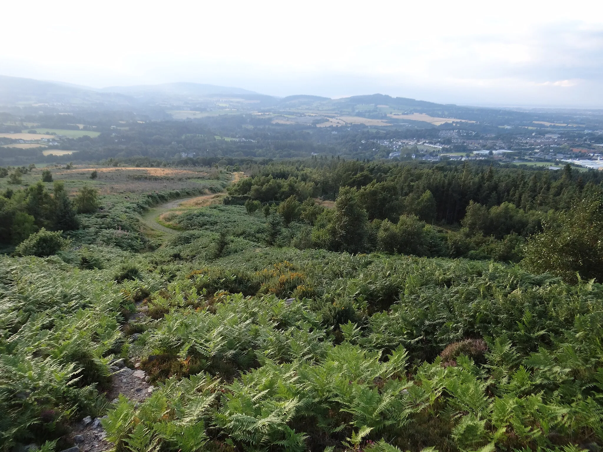 Photo showing: Down the side of Little Sugar Loaf