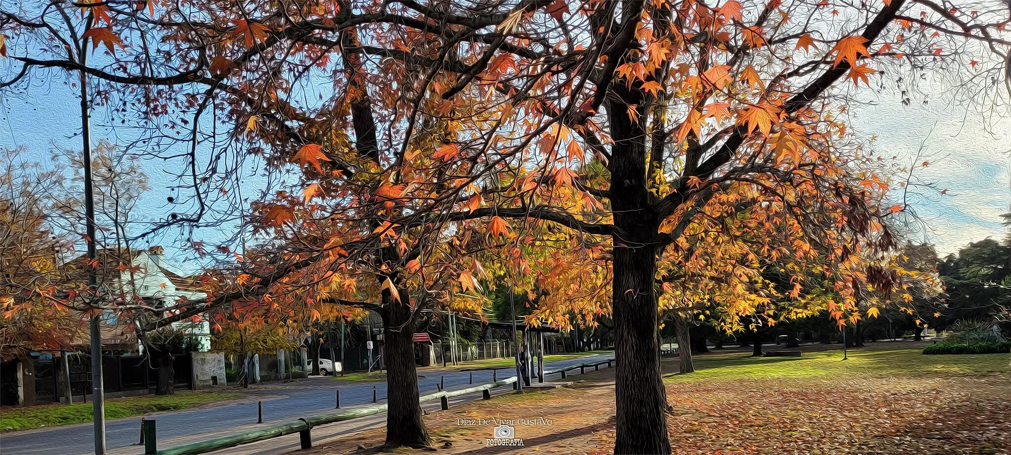 Photo showing: Tras realizar una buena captura fotográfica del parque Eva Hajduk y unos ejemplares de árbol Liquidámbar realizo un efecto Oleo que le da esa particularidad y belleza que si lo amplían pueden apreciar junio 2022 Ranelagh queda libre de uso para quien le guste o sirva utilizar Diaz De Vivar Gustavo