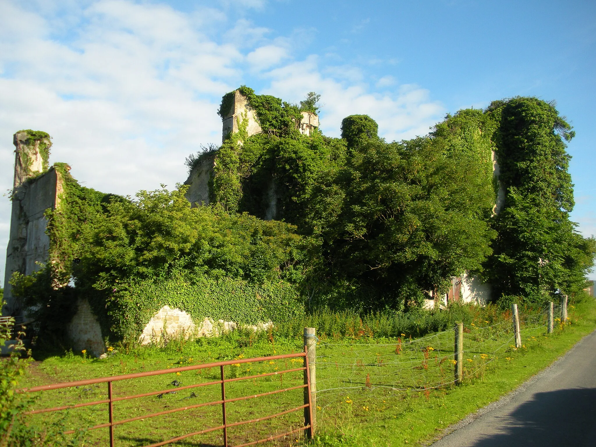 Photo showing: Moydrum Castle back view 1