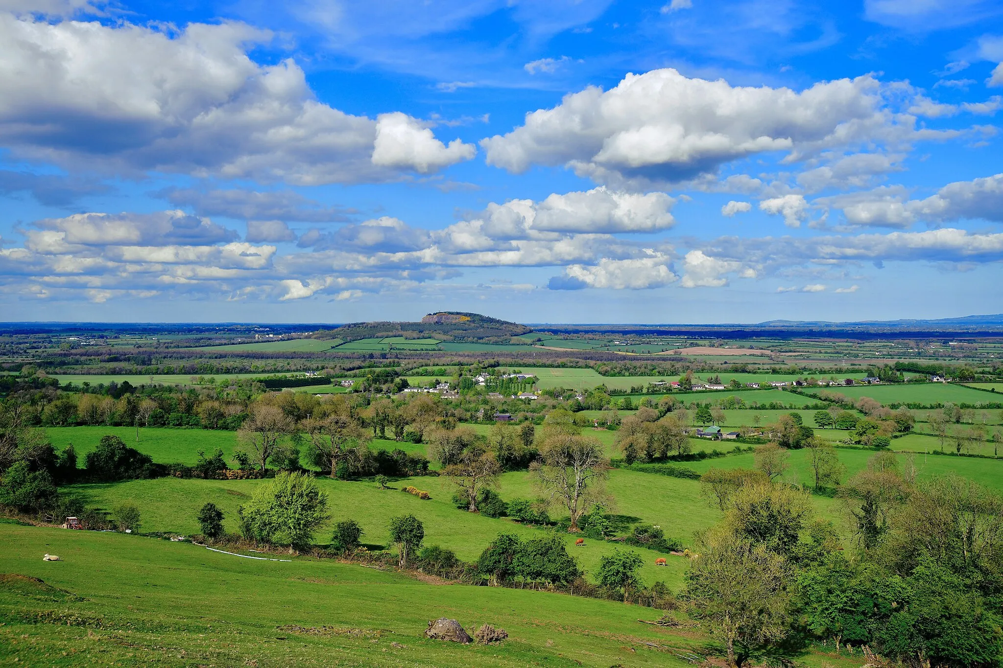 Photo showing: Landscape view of the Hill of Allen, County Kildare