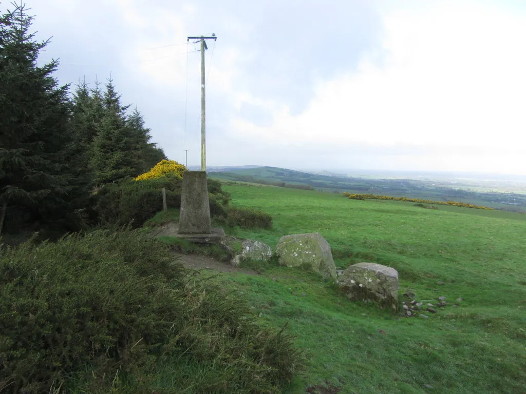 Photo showing: Trigpoint on Cupidstown Hill near Kilteel