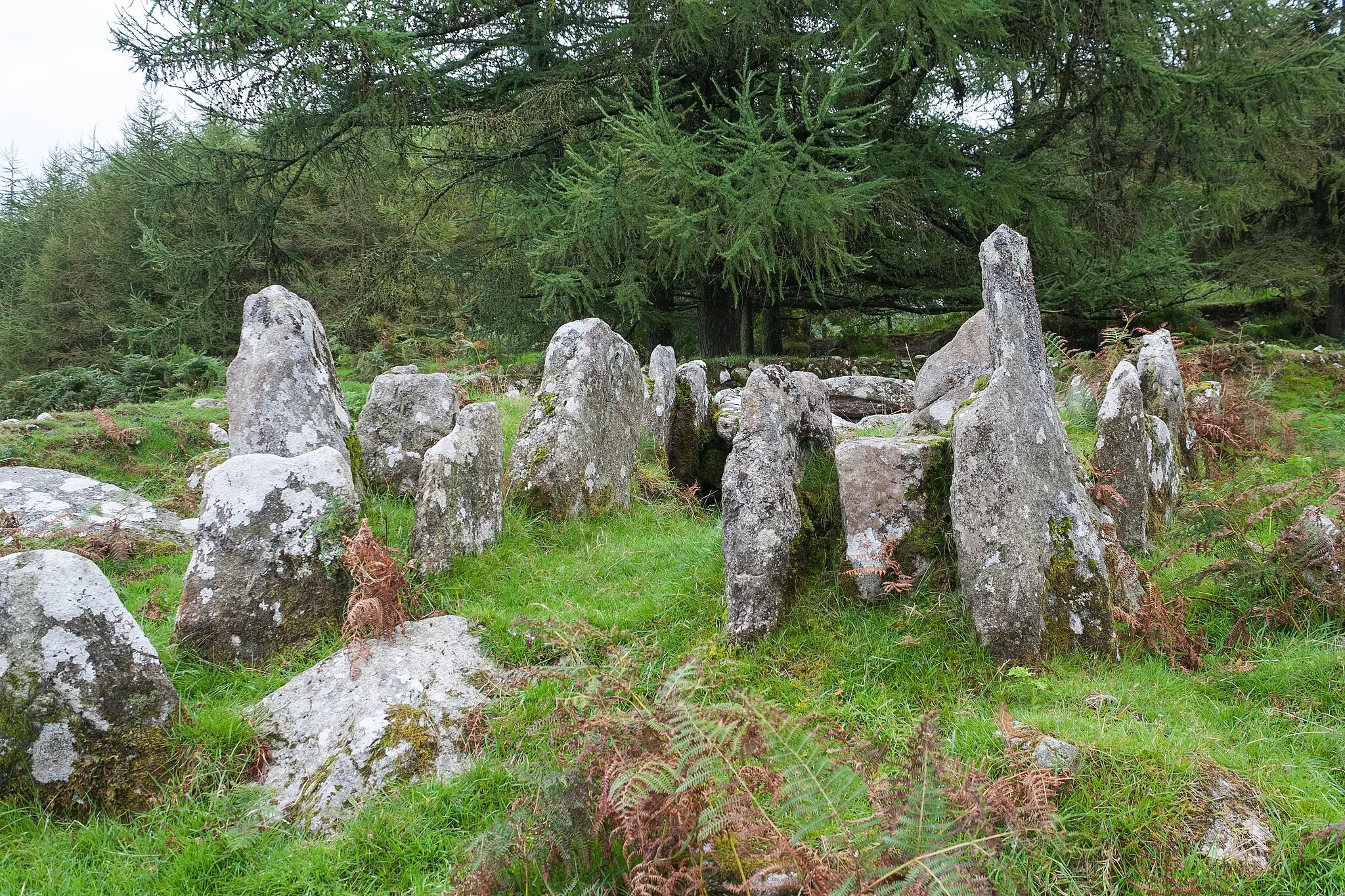 Photo showing: Moylisha wedge tomb, looking south-east.