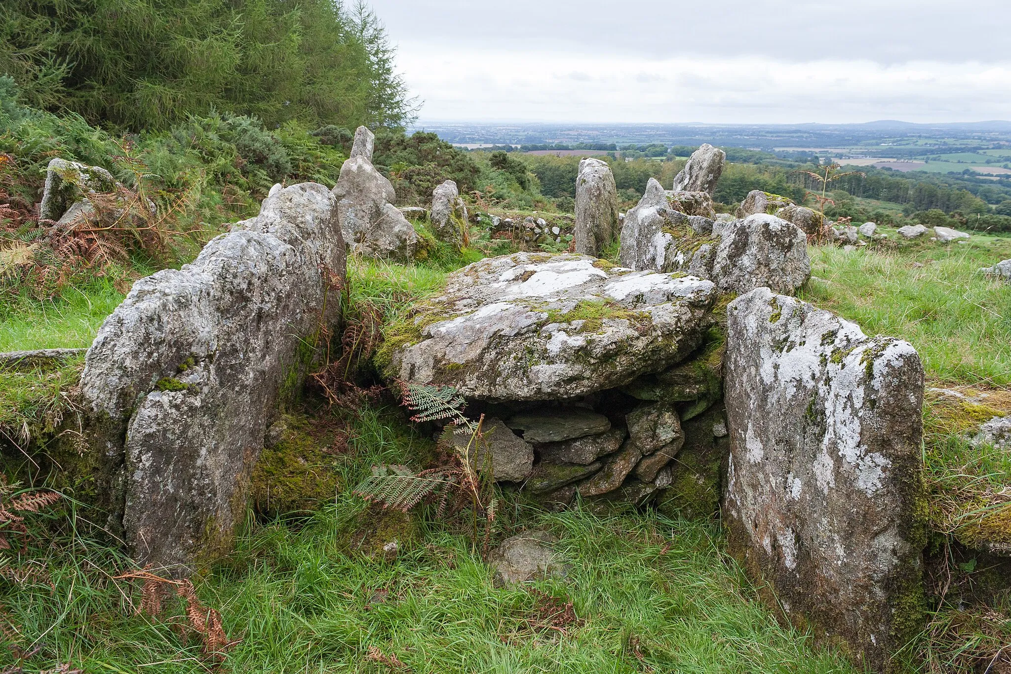 Photo showing: Central capstone of Moylisha wedge tomb, looking north-west.