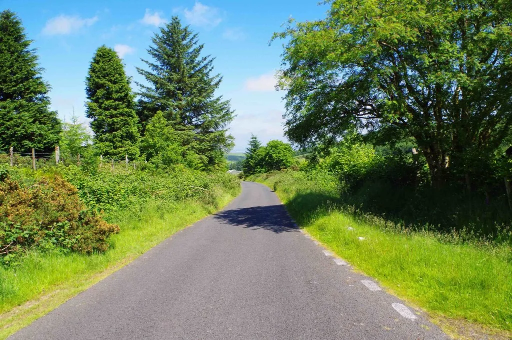 Photo showing: The L7642 road near Ballinascorney Upper
