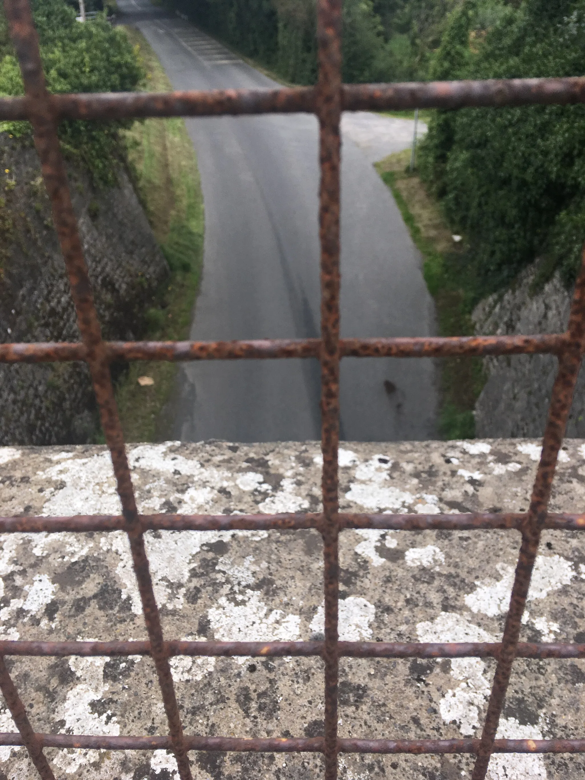 Photo showing: County Offaly, Blundell Aqueduct.