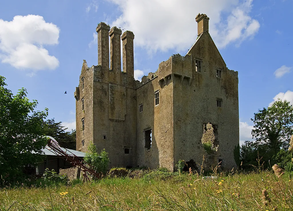 Photo showing: Castles of Leinster: Ballycowan, Offaly (1)