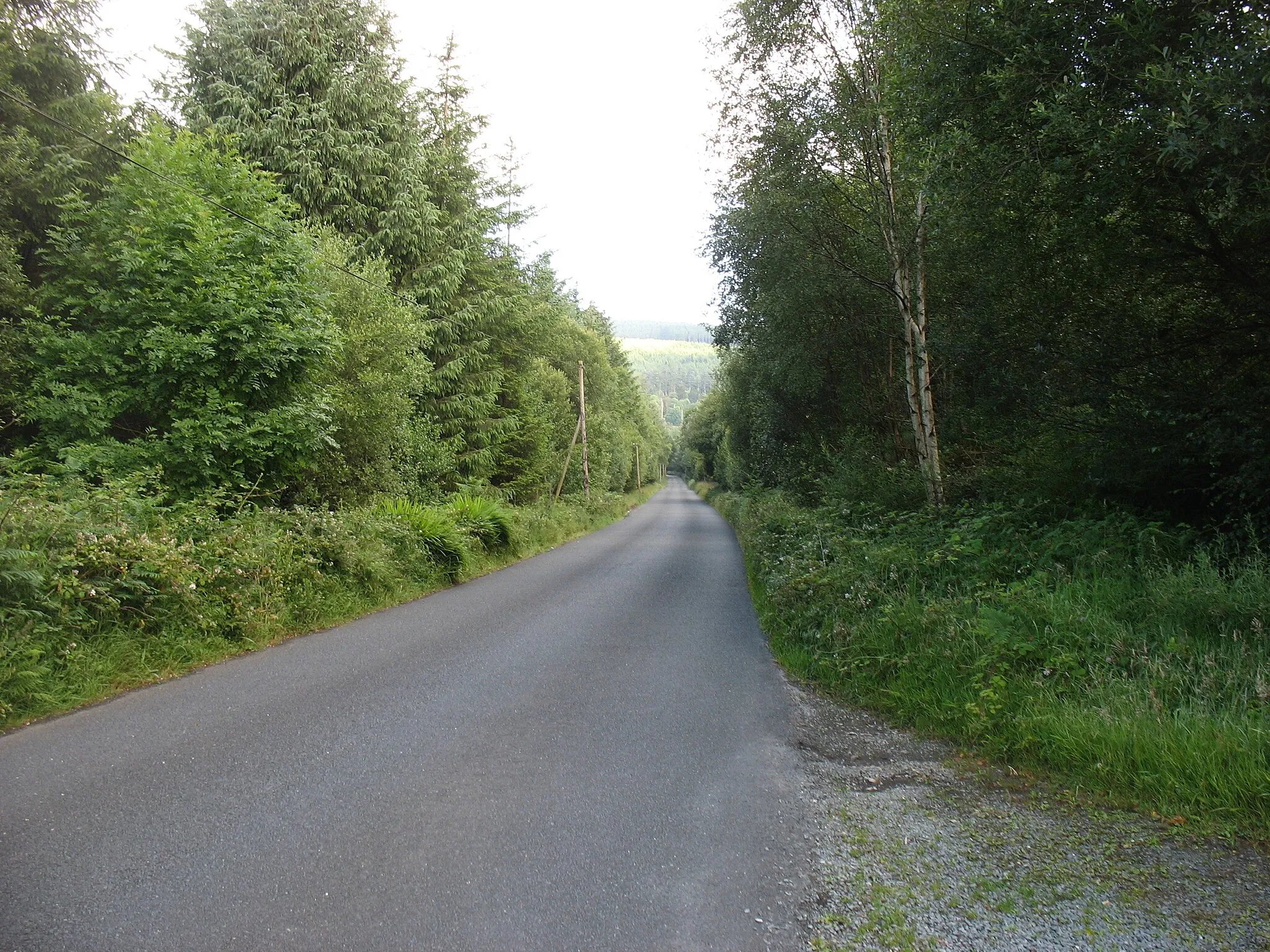 Photo showing: Minor road running parallel to the Ow River