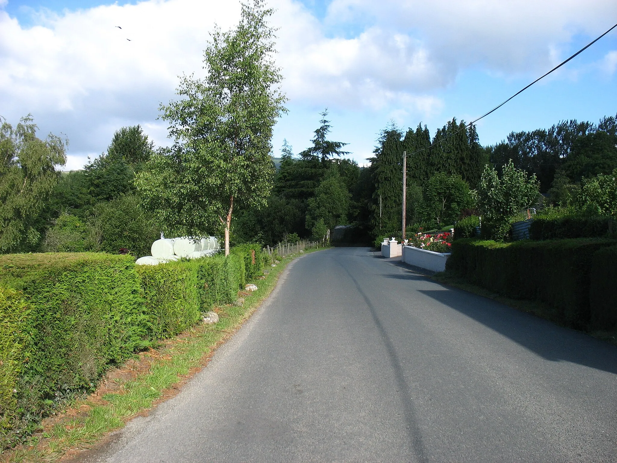 Photo showing: Minor road heading for Aughrim