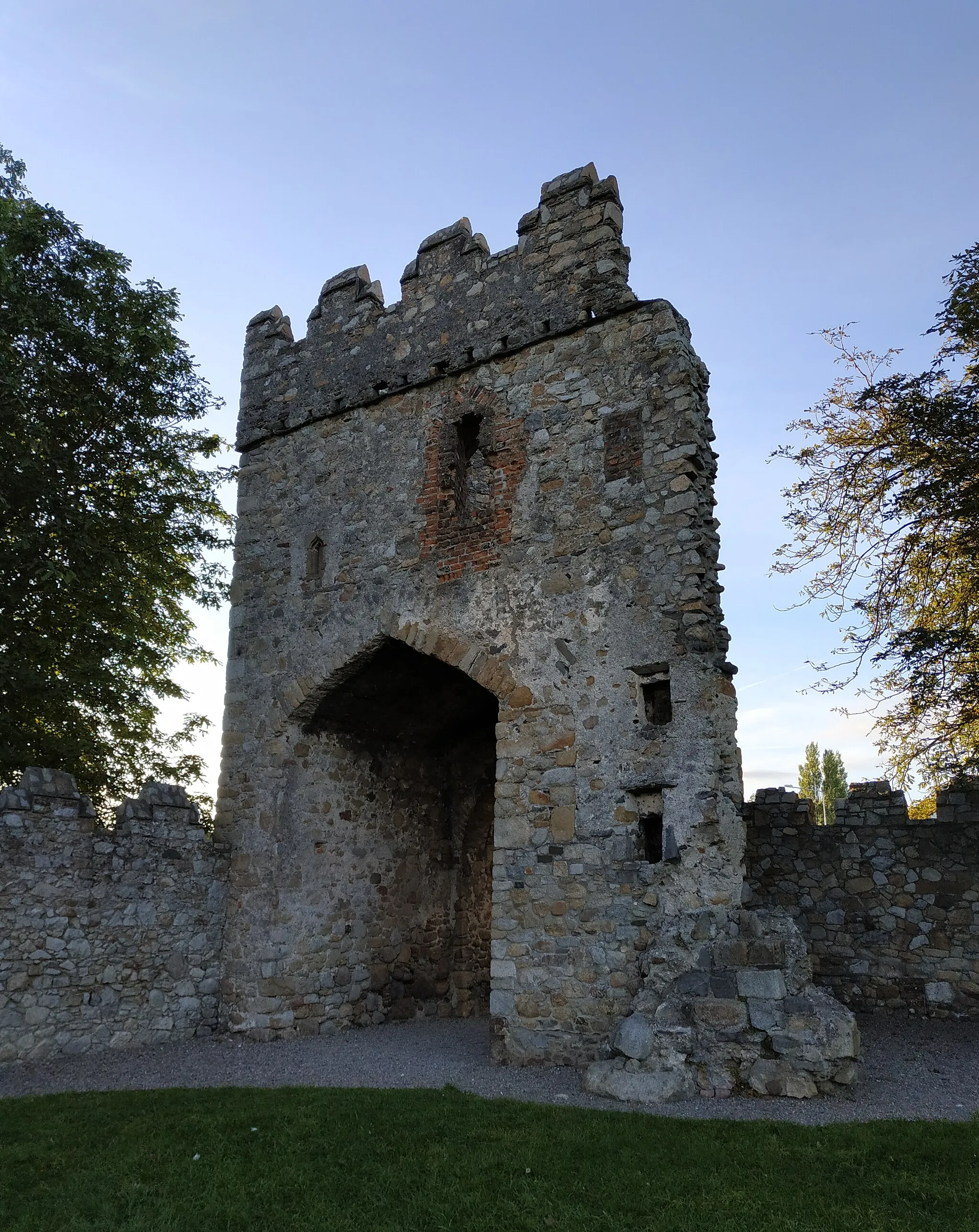 Photo showing: County Dublin, Monkstown Castle.