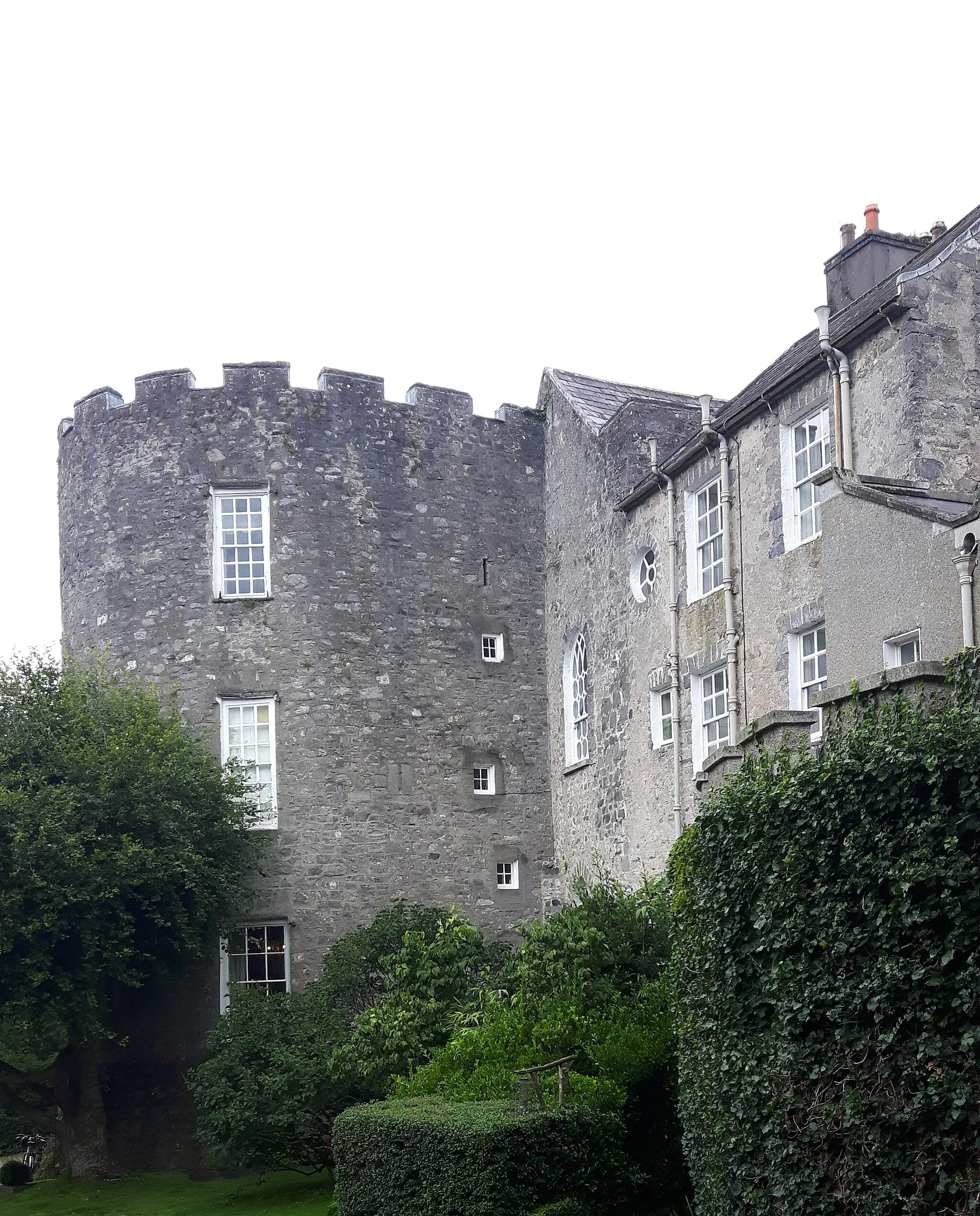 Photo showing: County Kildare, Leixlip Castle.