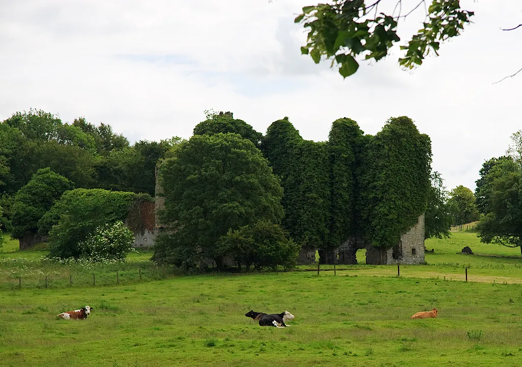 Photo showing: Lynch's Castle,  Summerhill, County Meath, Ireland