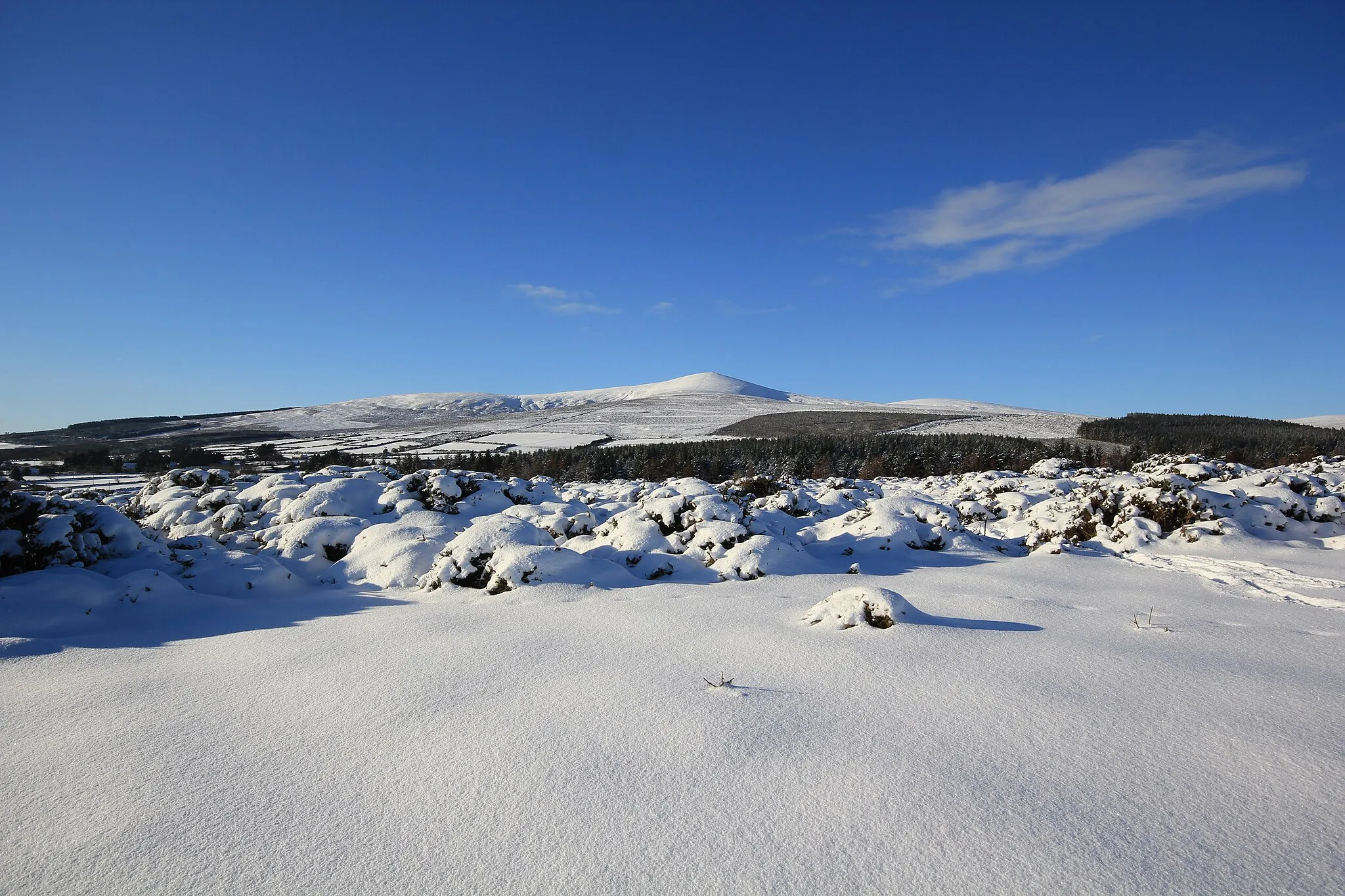 Photo showing: Djouce Mountain, Wicklow under blue sky and snow Xmas Eve 2010