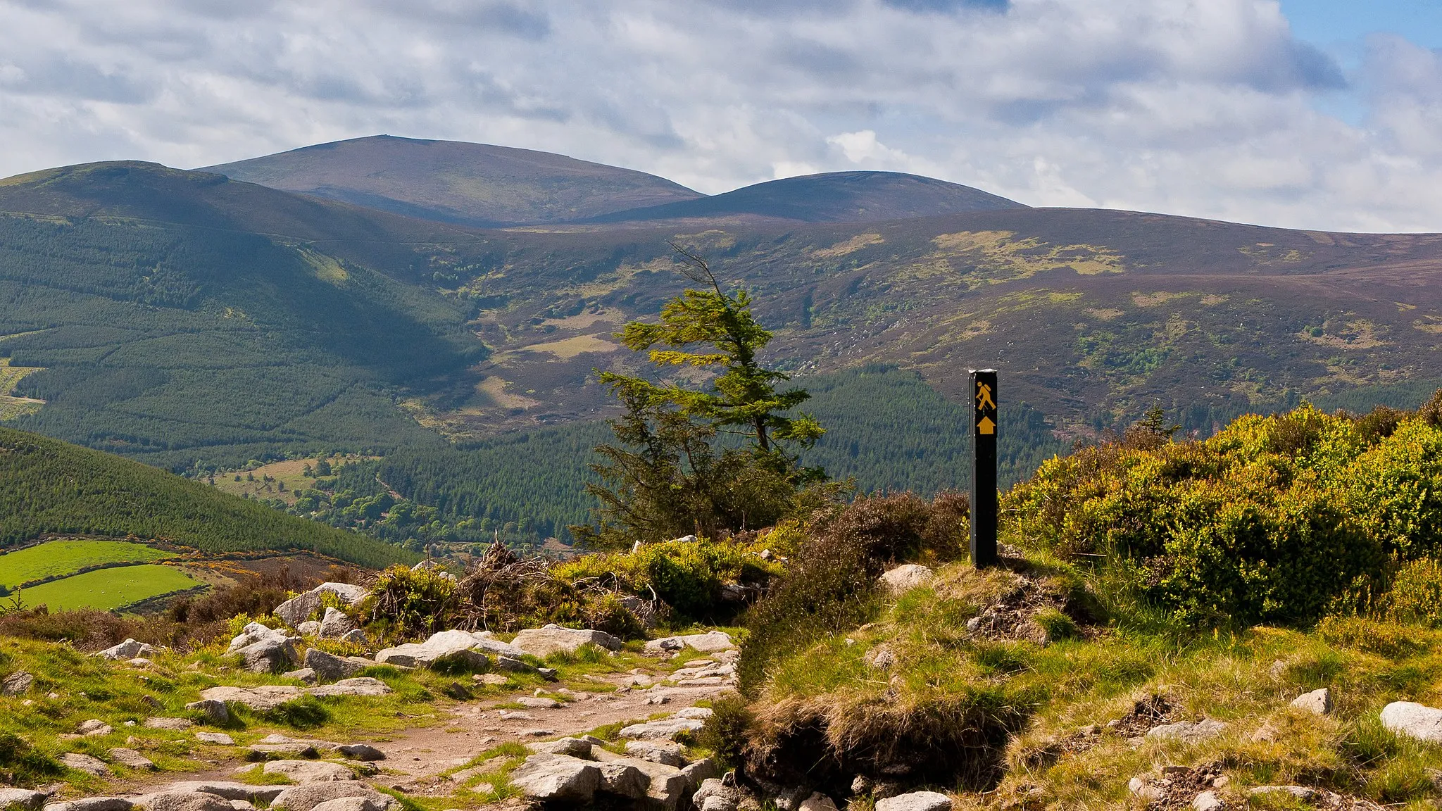 Photo showing: A waymarker on the Wicklow Way National Waymarked Trail near Curtlestown Wood, County Wicklow Ireland overlooking the Glencree valley with the mountains Maulin, Djouce and War Hill in the distance.
