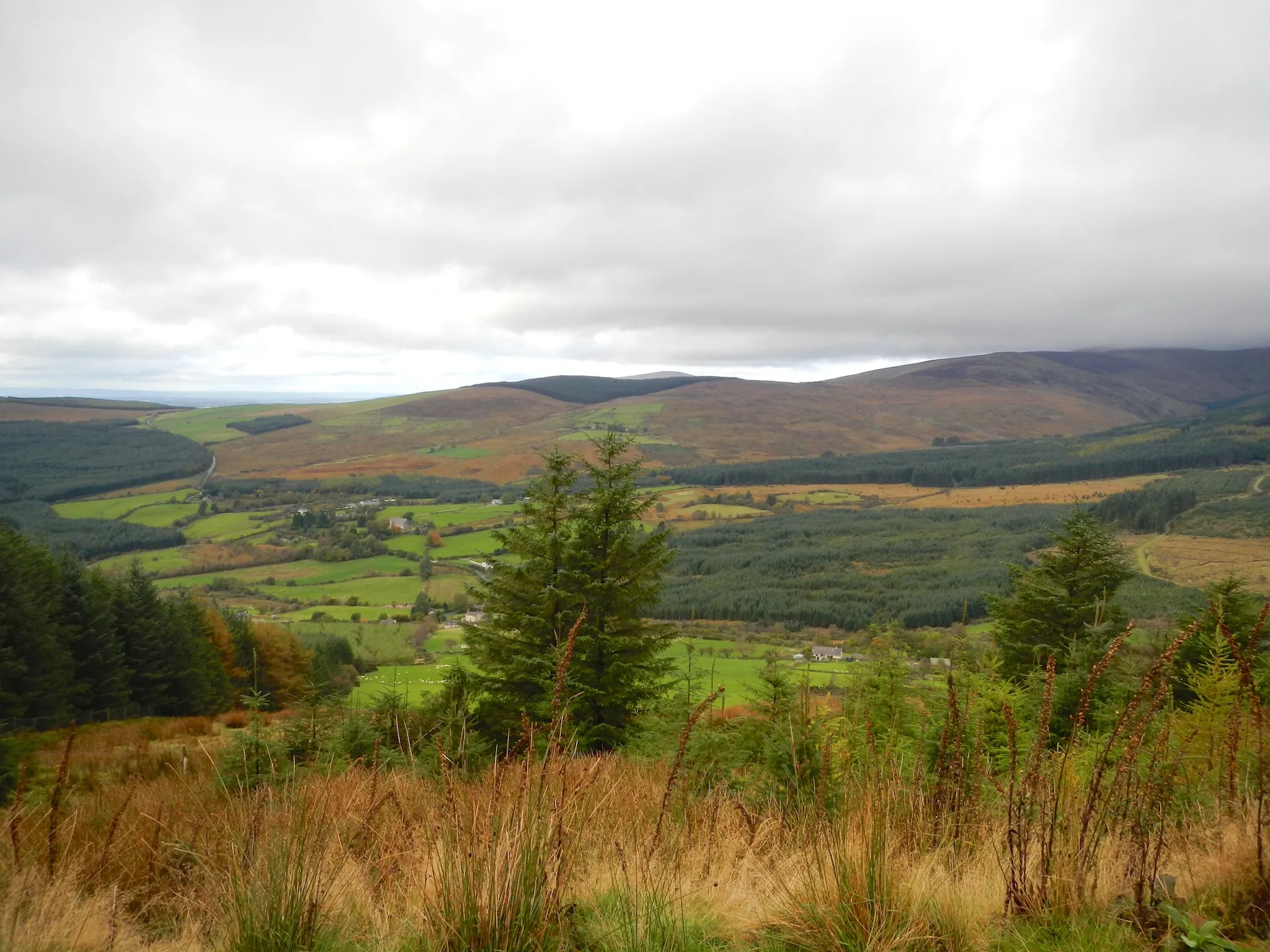 Photo showing: Mucklagh, Co. Wicklow, Ireland