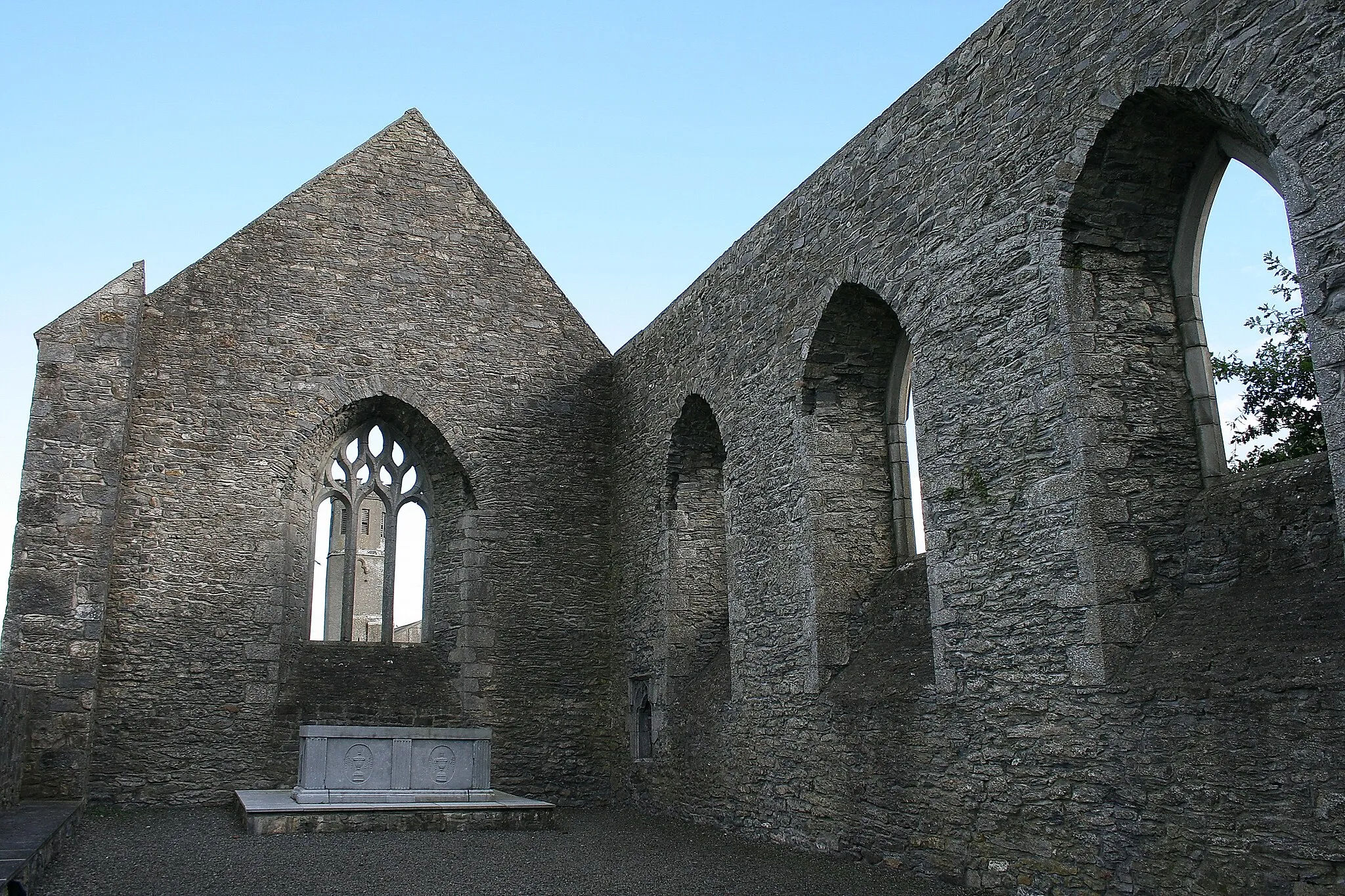 Photo showing: Aghaboe, County  Laois, near to Aghaboe, Kilcotton, Boherard, Corraun and  Badgerisland, Laois, Ireland.
Aghaboe Abbey, founded in 577.