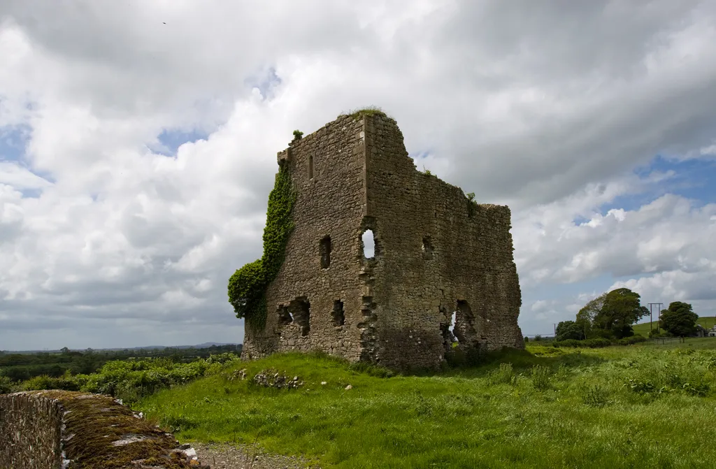Photo showing: Castles of Leinster: Carrick, Kildare (2)