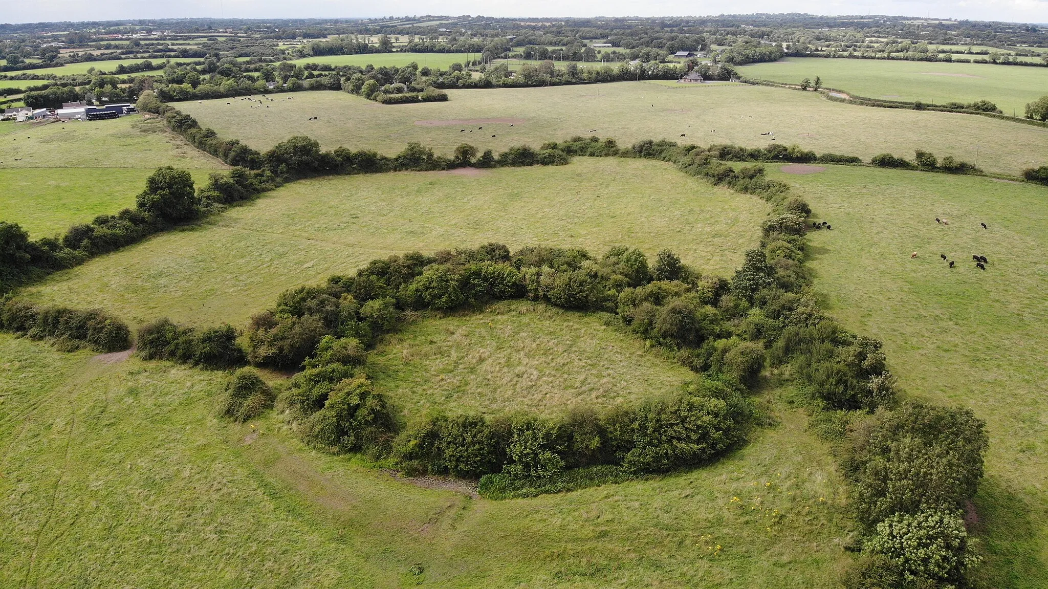 Photo showing: Aerial view of a ringfort in Kilclone townland.