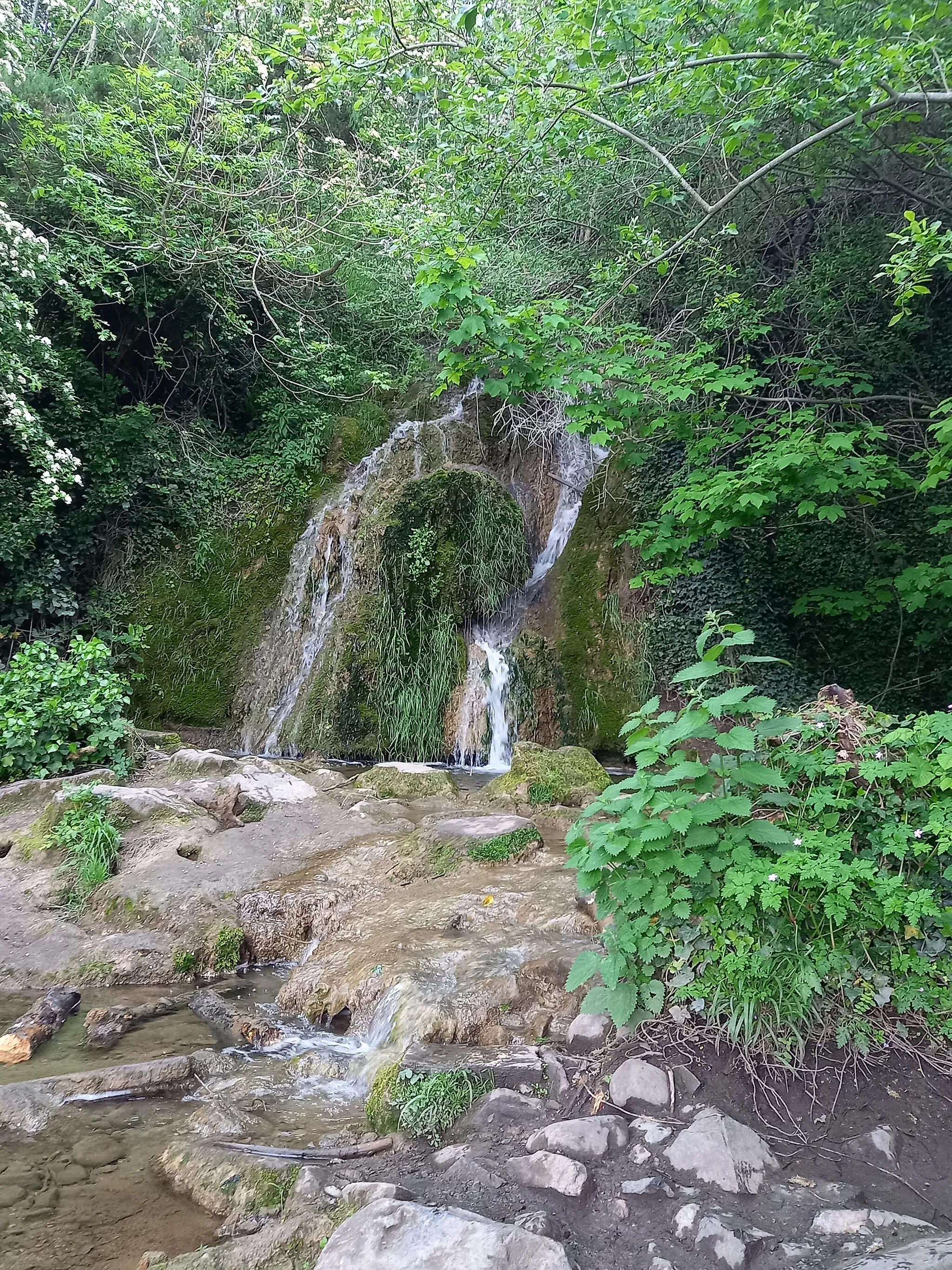 Photo showing: Waterfall near Leixlip Spa above its confluence with the Rye Water. Runs parallel to the Royal Canal near the aqueduct that carries the canal over the Rye Water 25m below. May 2021.