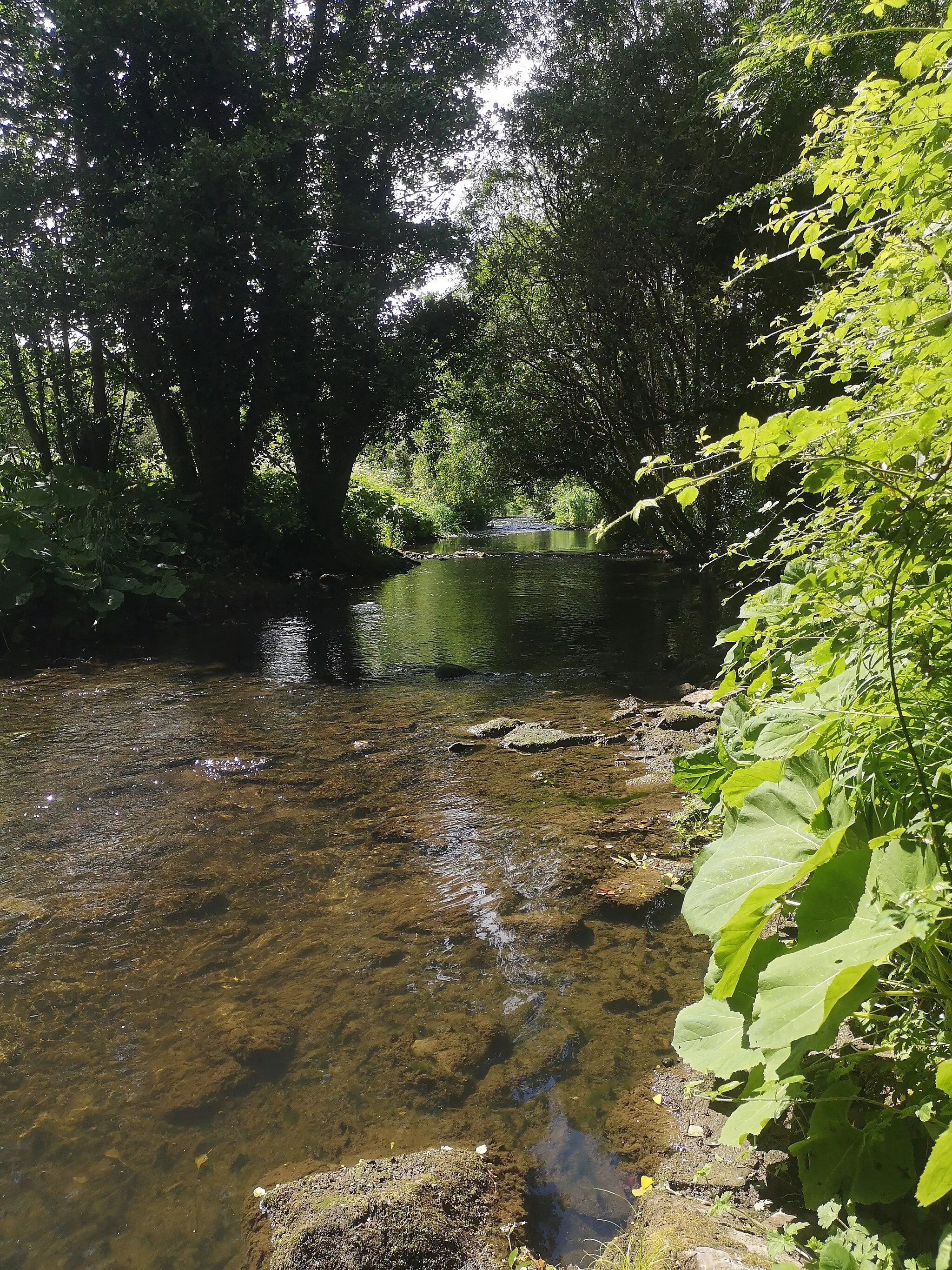 Photo showing: A shallow section of the Rye River Special Area of Conservation close to the Leixlip Aqueduct which carries the Royal Canal and train lines to the west over the Rye Water or Rye River