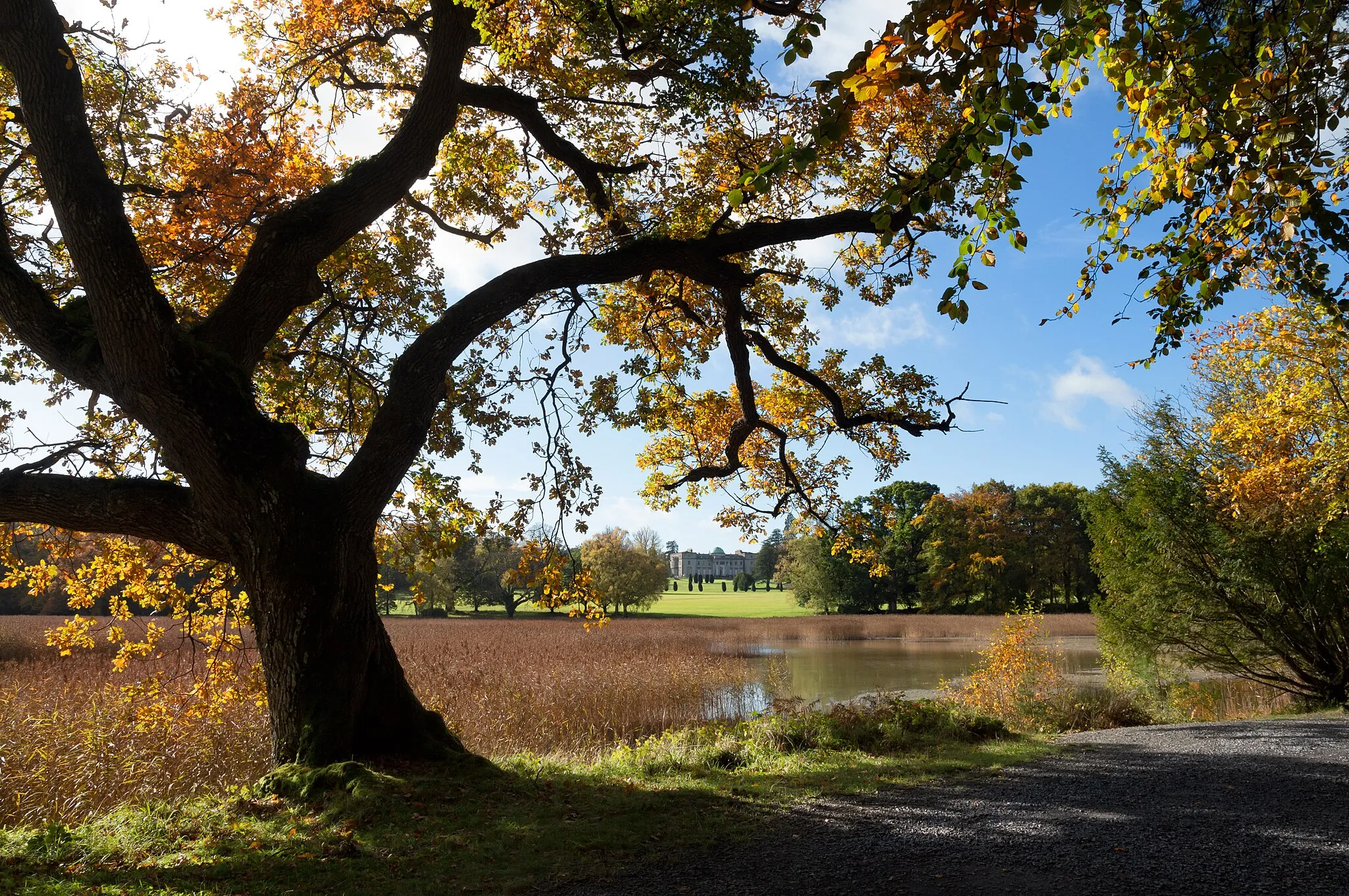 Photo showing: Emo, Emo Court.