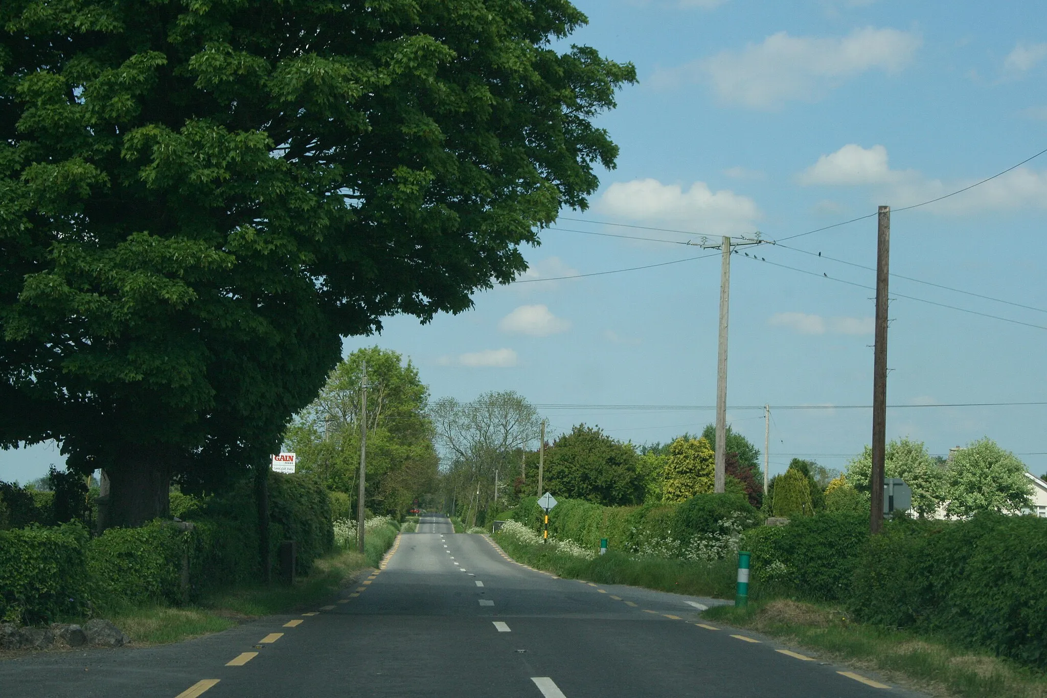 Photo showing: On the R408, County Kildare