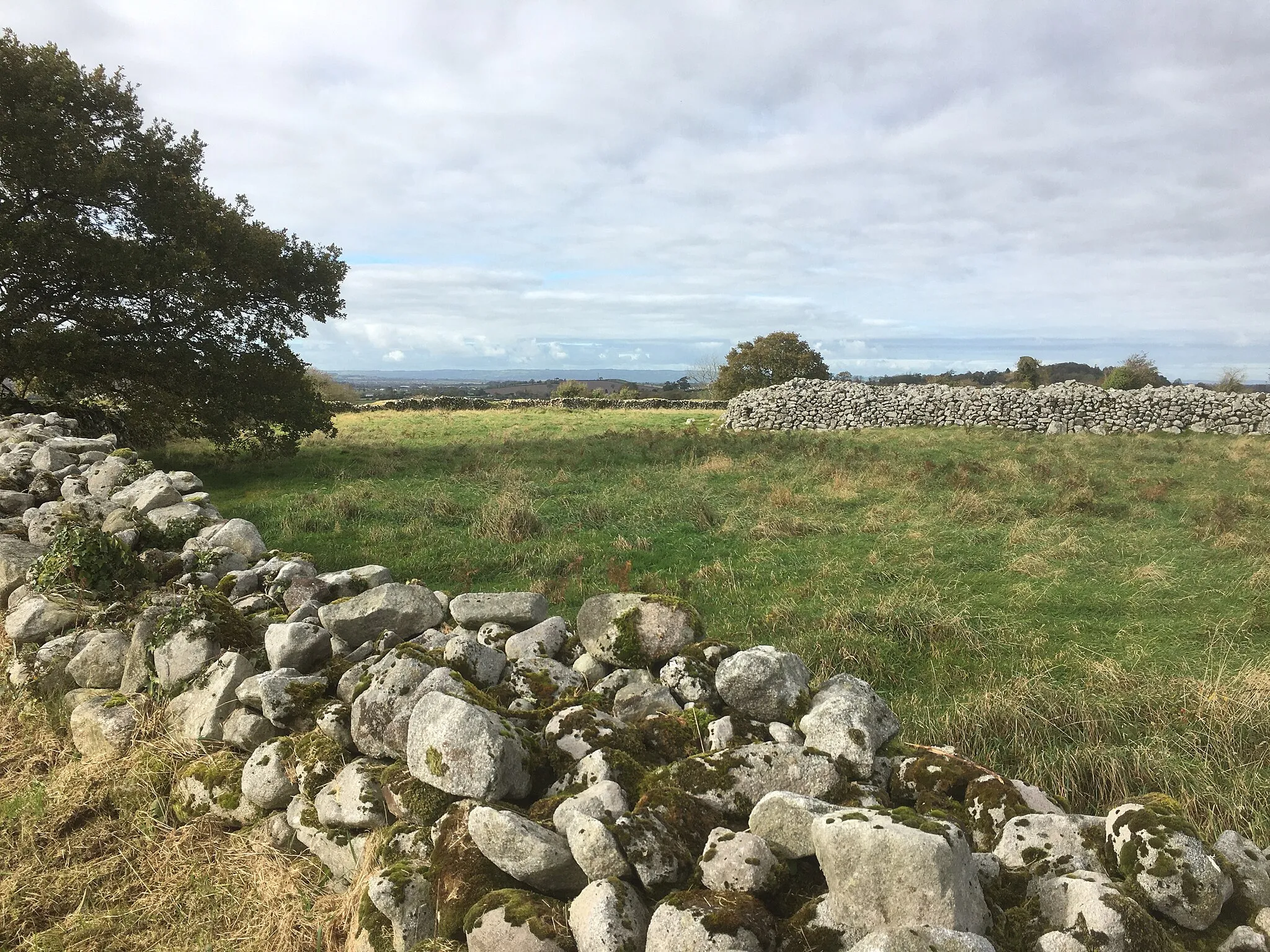 Photo showing: The outer two walls of the bronze age hillfort in the townland of Liscolman, Coolkenno, near Shillelagh, Co. Wicklow and Tullow Co. Carlow.