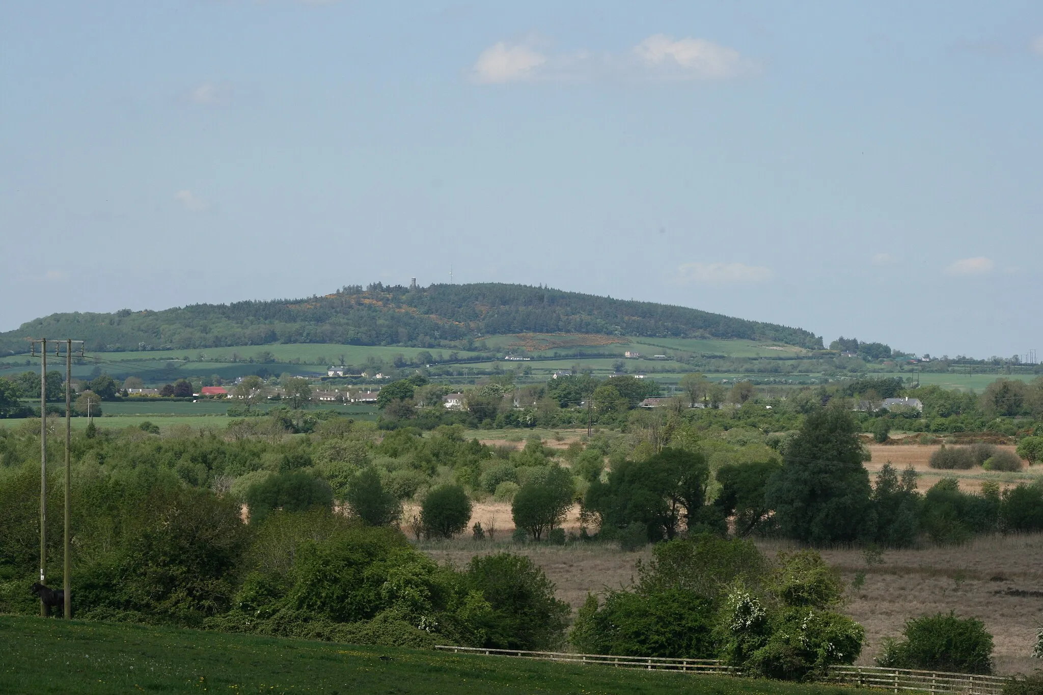 Photo showing: The Hill of Allen in County Kildare, Ireland.