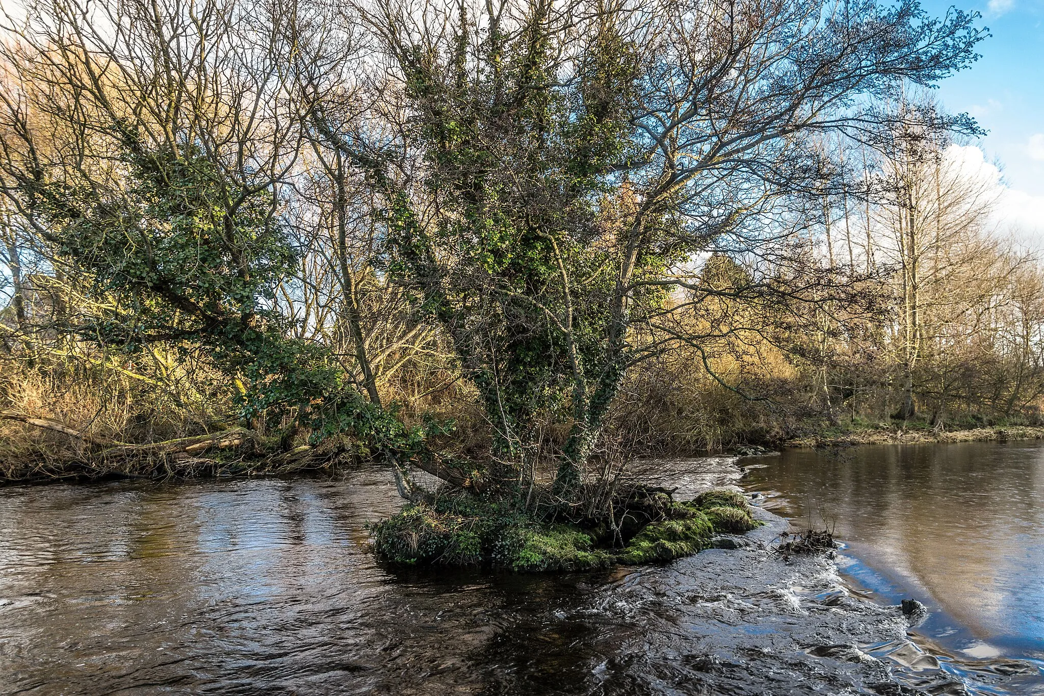 Photo showing: The town of Newbridge was built around the crossing point on the River Liffey. The river, which rises in the Sally Gap flows for most of its 92 miles through Co. Kildare. The Liffey Linear Park / Town Park is in the ownership of Droichead Nua Town Council.

The Liffey Linear Park extends along the full length of the River Liffey, and the area under management in Newbridge area is defined is the area enclosed from the Athgarvan Road entrance, through the area known as "The Strand", the "Watering Gates", the Liffey Bridge (Droichead Conlaoch), and along the riverbanks to the Dominican College.