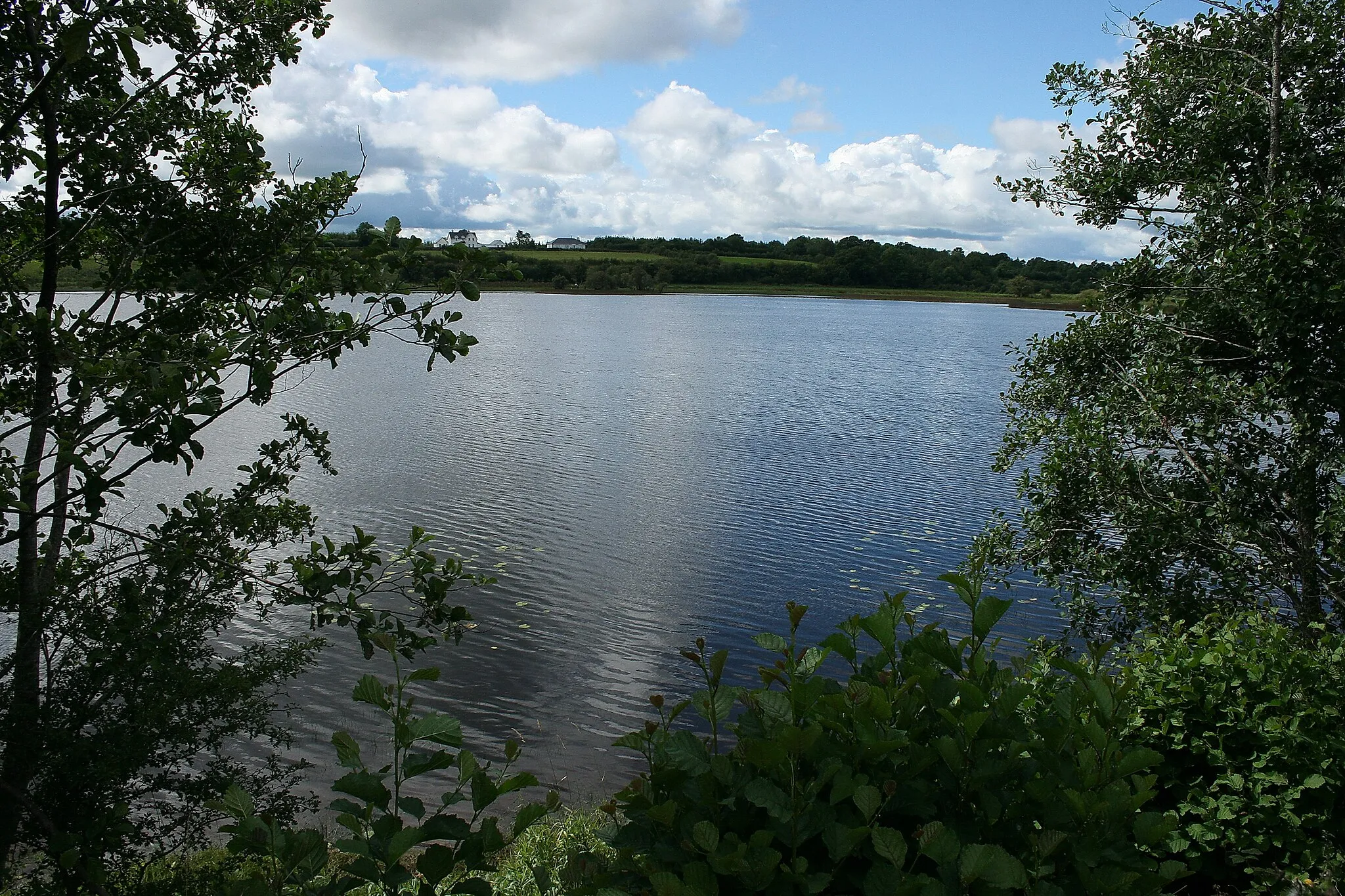 Photo showing: Small inter drumlin lake on the R202 near Dromod, County Leitrim