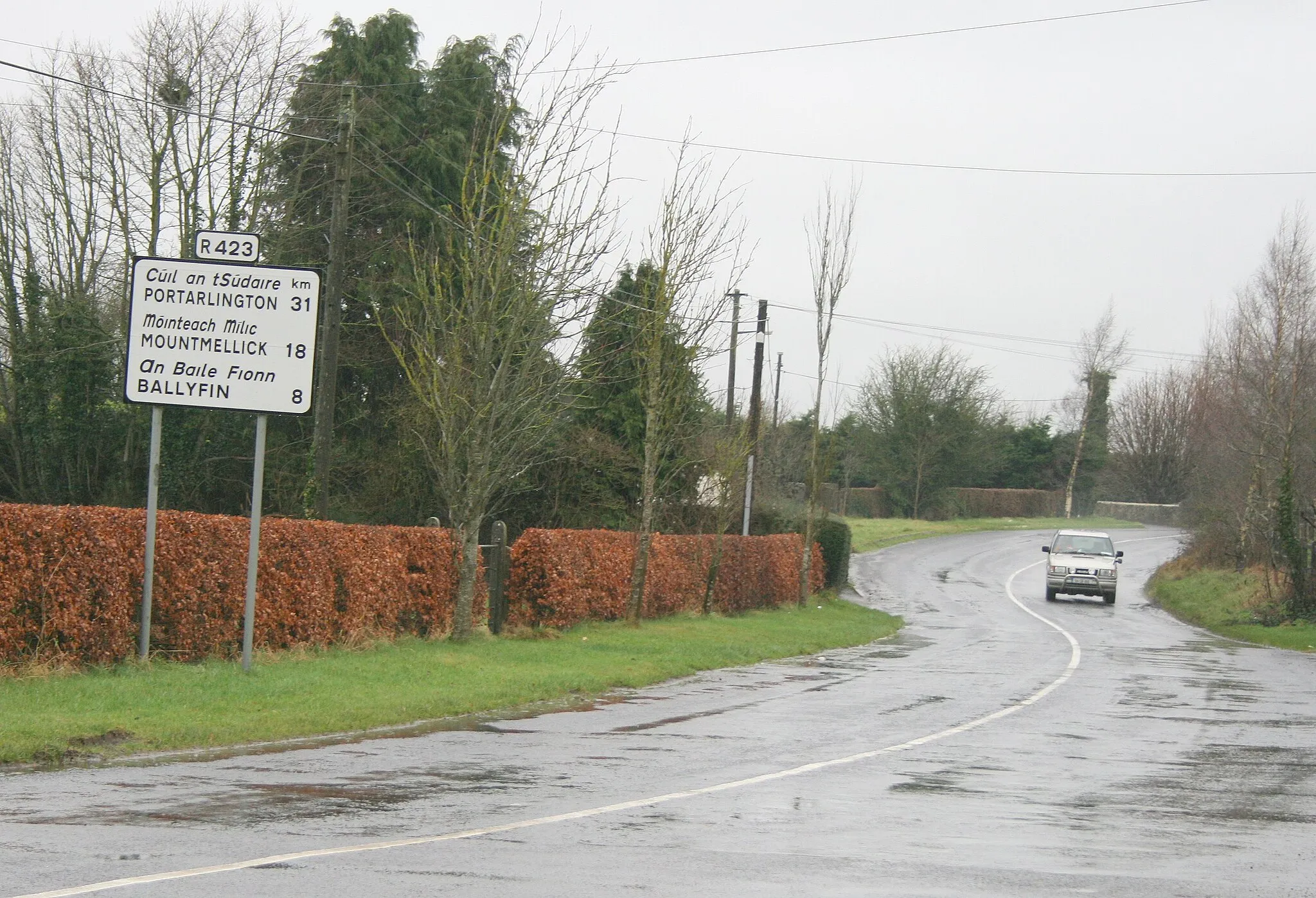 Photo showing: R423 leaving Mountrath, County Laois, Ireland