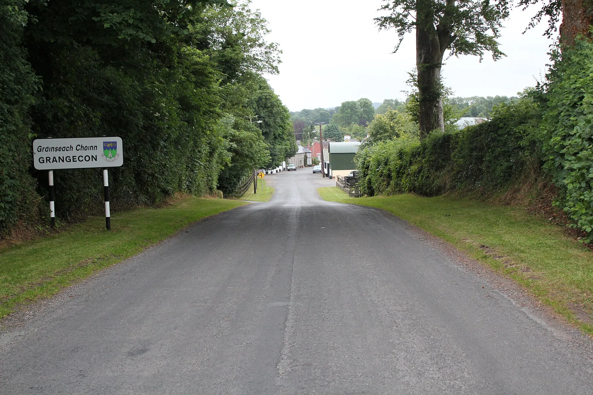 Photo showing: Grangecon, looking south