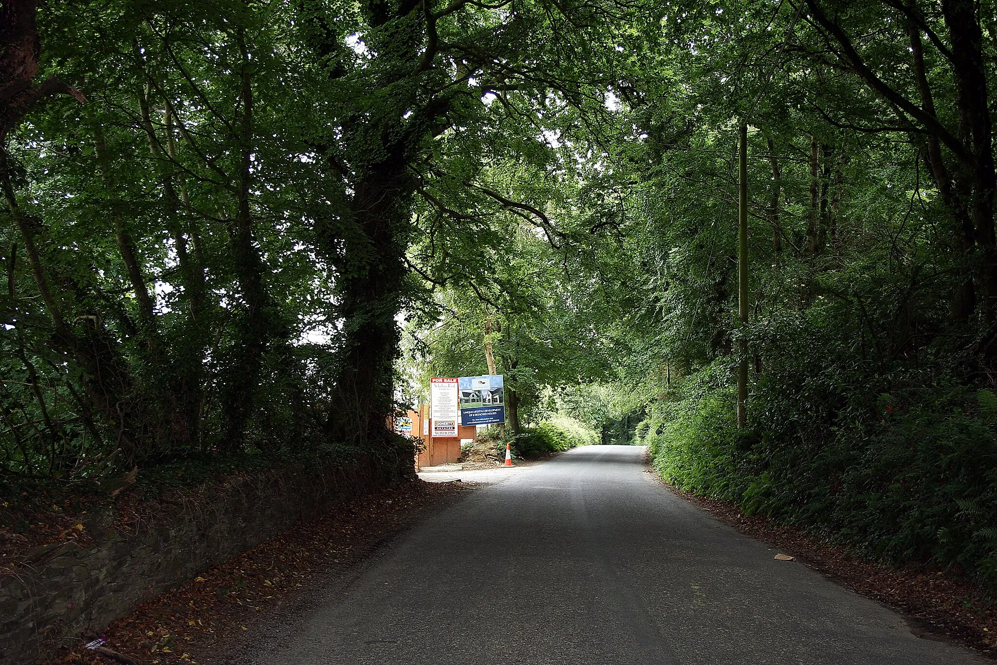 Photo showing: Hollyfort, County Wexford, Ireland. The road to Monaseed.