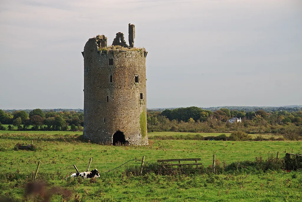 Photo showing: Castles of Munster: Knockagh, Tipperary This circular five storey tower house in a field off a minor road, is 3 km SW of Templemore. The chimney stack surmounts a fireplace in the fifth storey on the west side, and of an attic within the roof, only the southern gable remains.