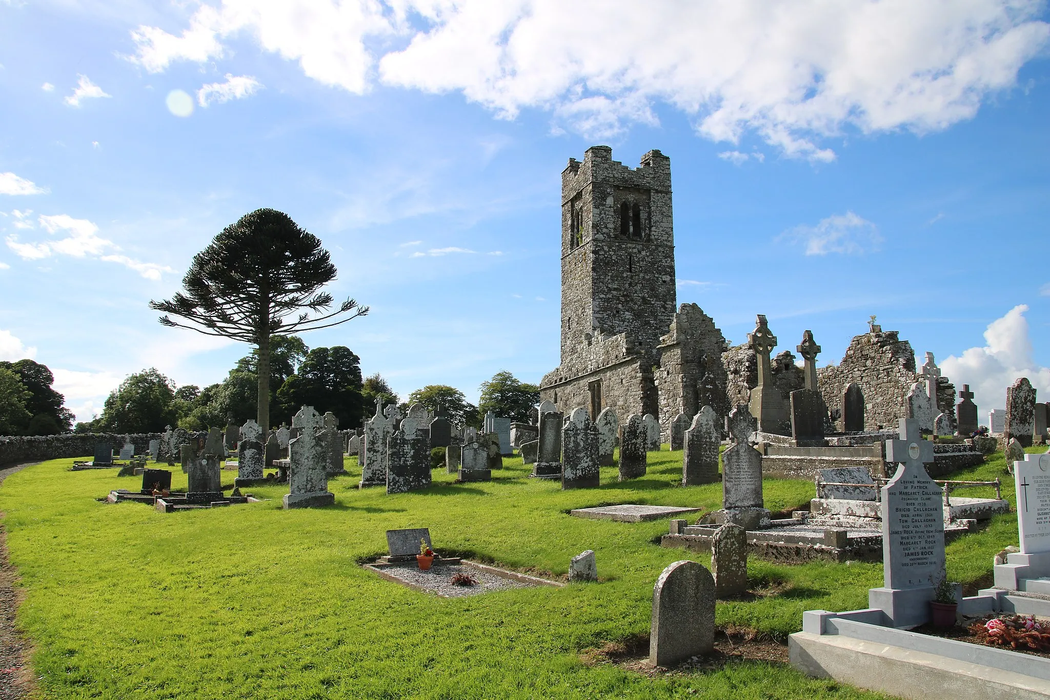 Photo showing: A view of the old church and graveyard on the site of the Hill of Slane on a sunny summers day