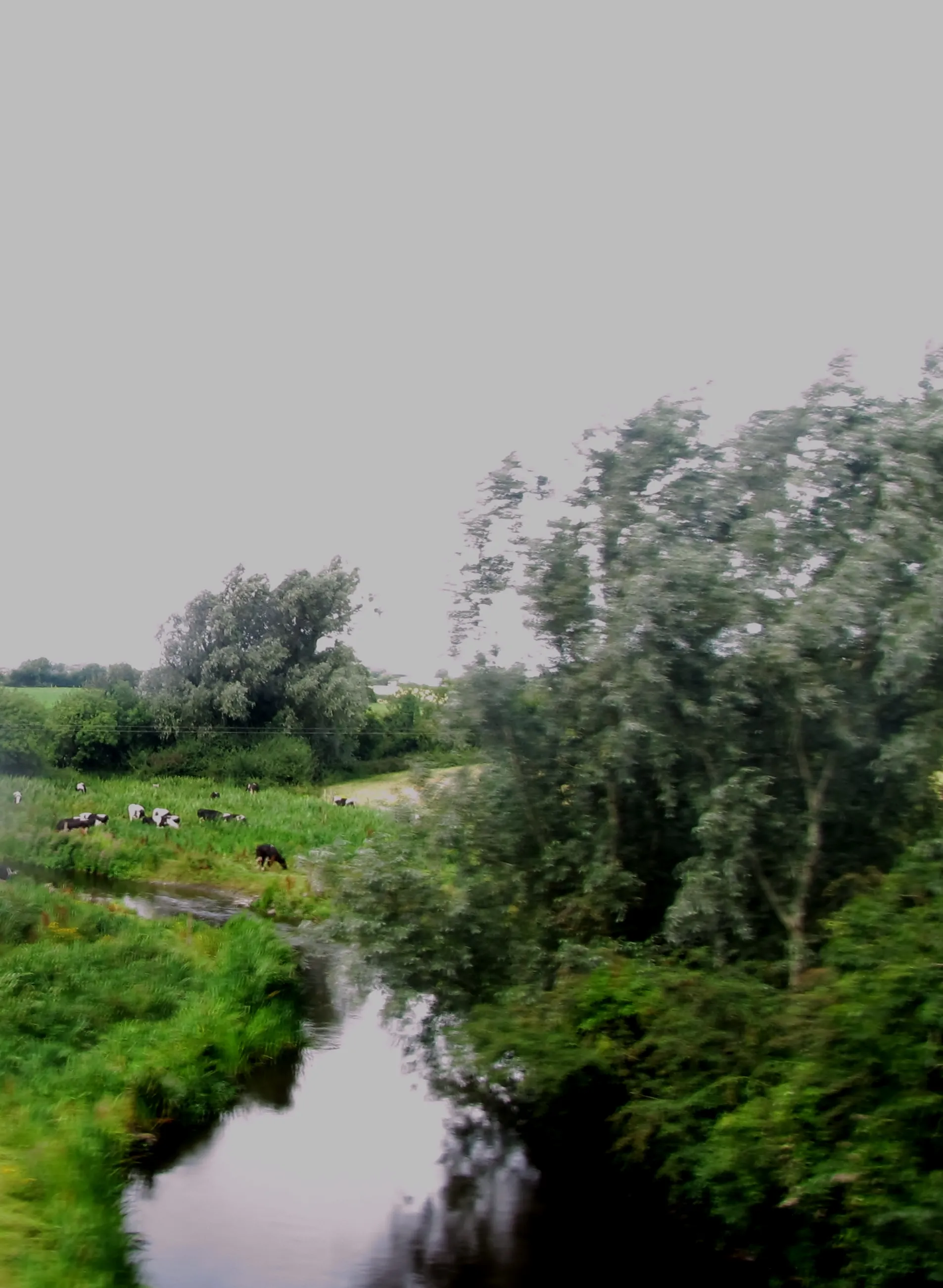 Photo showing: River Fane above Knockbridge