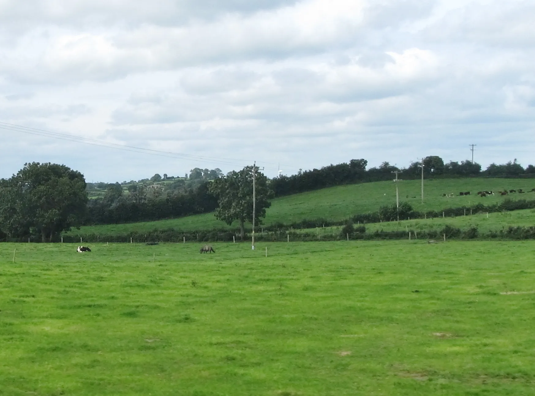 Photo showing: Grazing land on the western outskirts of Knockbridge, Co Louth