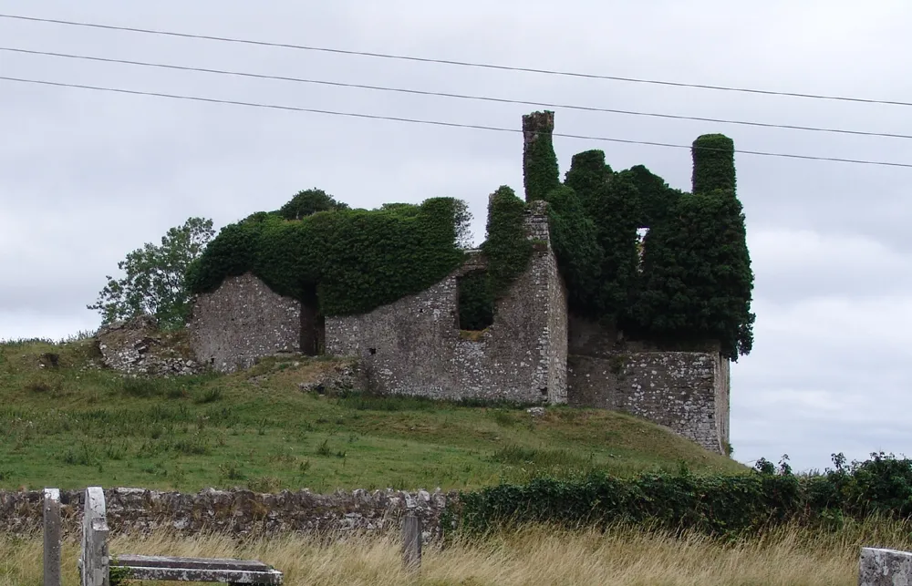 Photo showing: Image of Carbury Castle Ireland