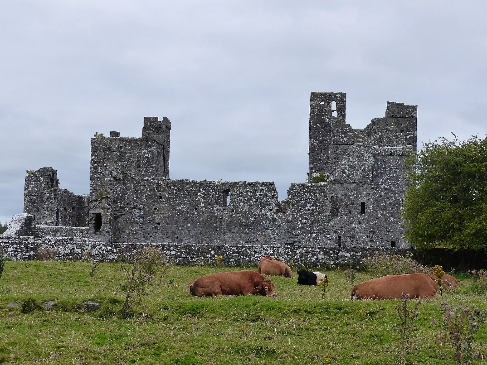 Photo showing: Fore Abbey