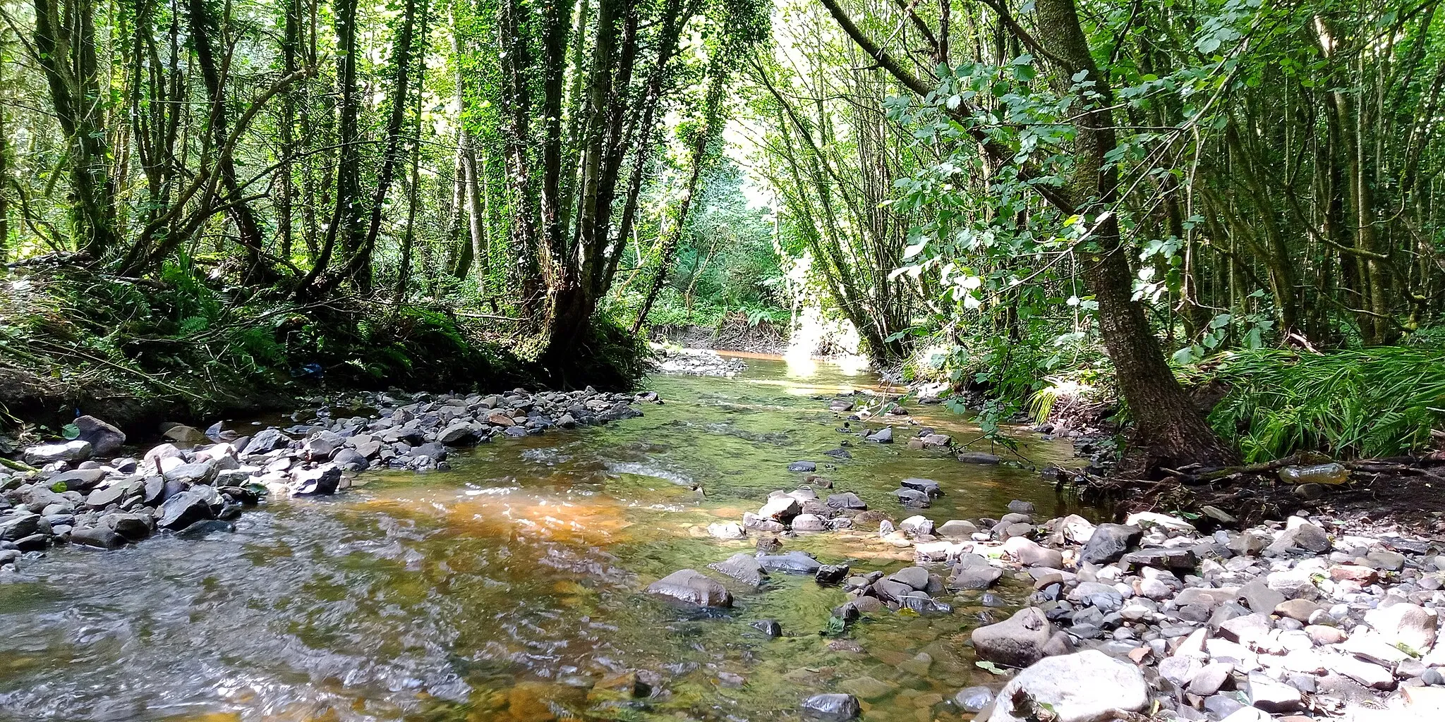 Photo showing: Brokagh River in Castlecomer, photograph taken near Cruckny Well