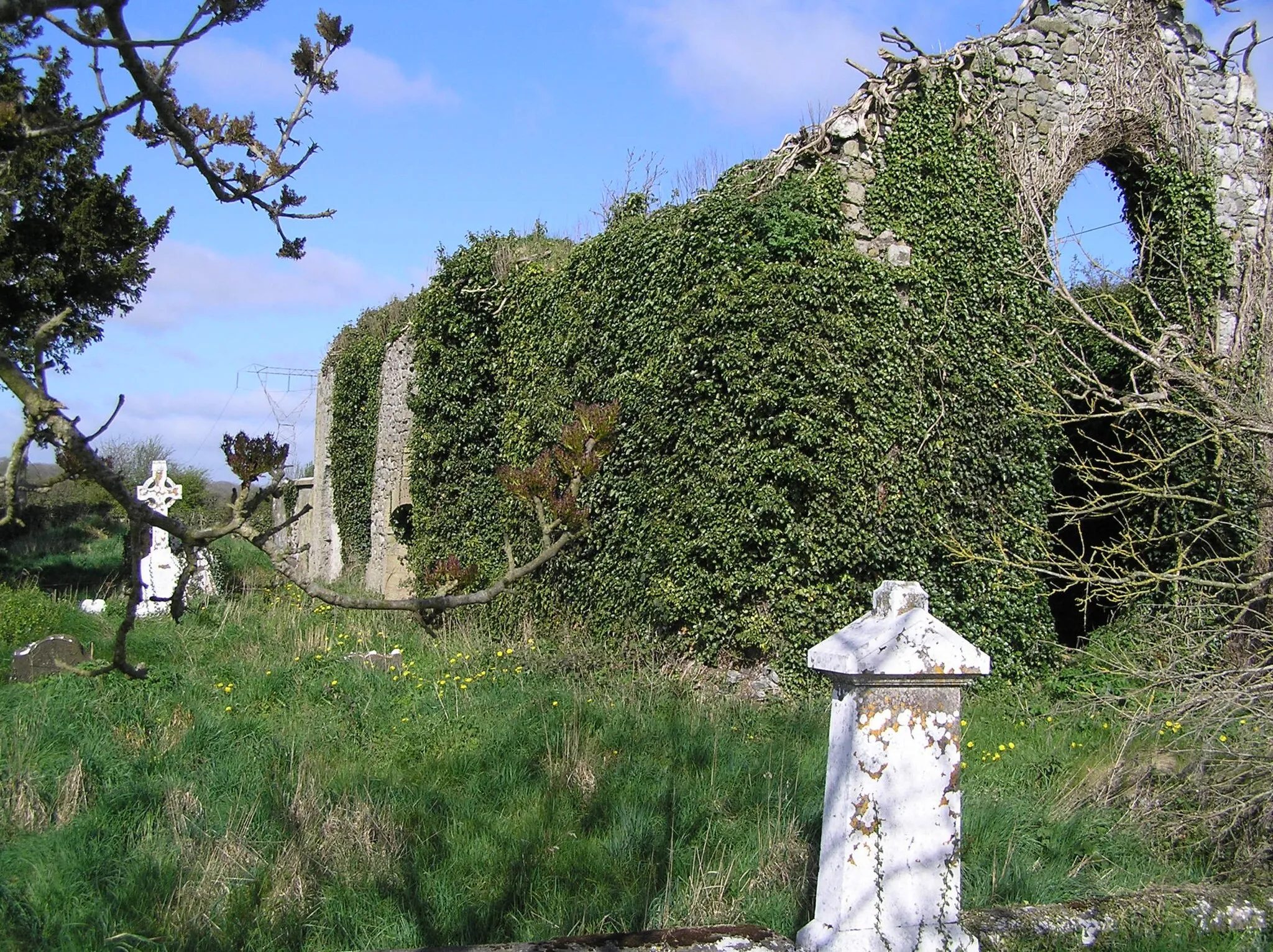 Photo showing: Ruined church at Newtownlow, near Kilbeggan