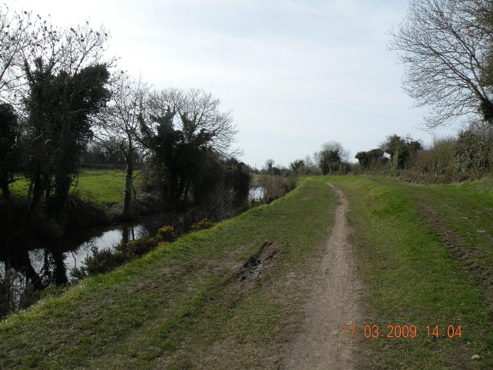 Photo showing: Royal Canal Way