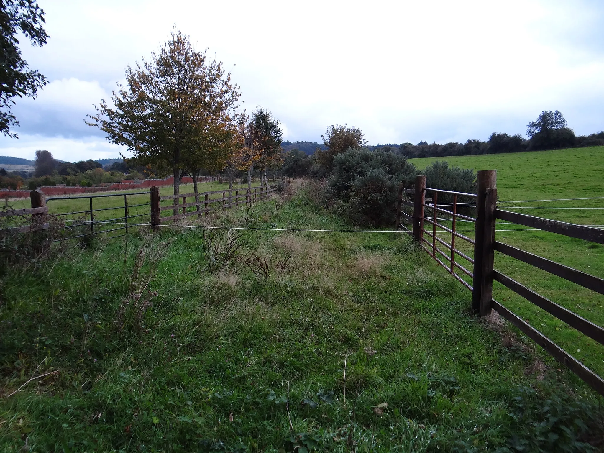 Photo showing: Green street