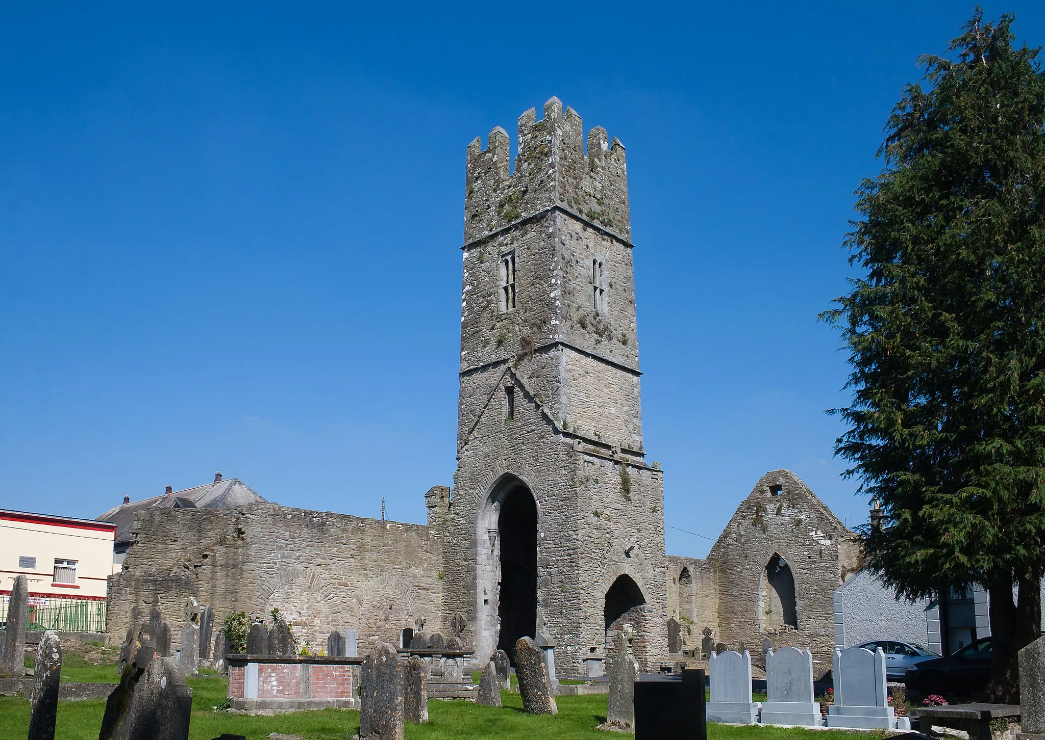 Photo showing: South-west view of Roscrea Friary.