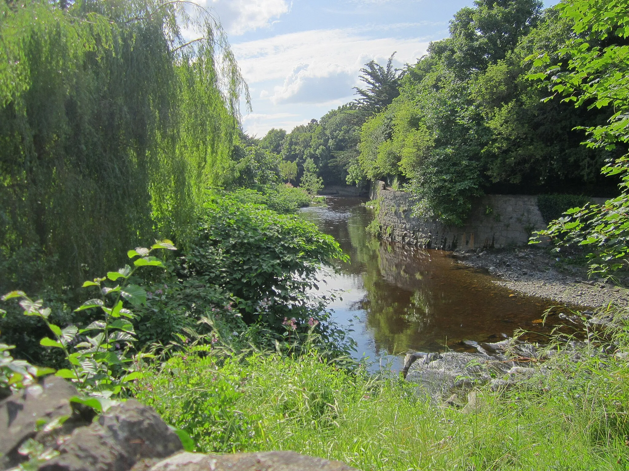 Photo showing: The river Dodder in Milltown