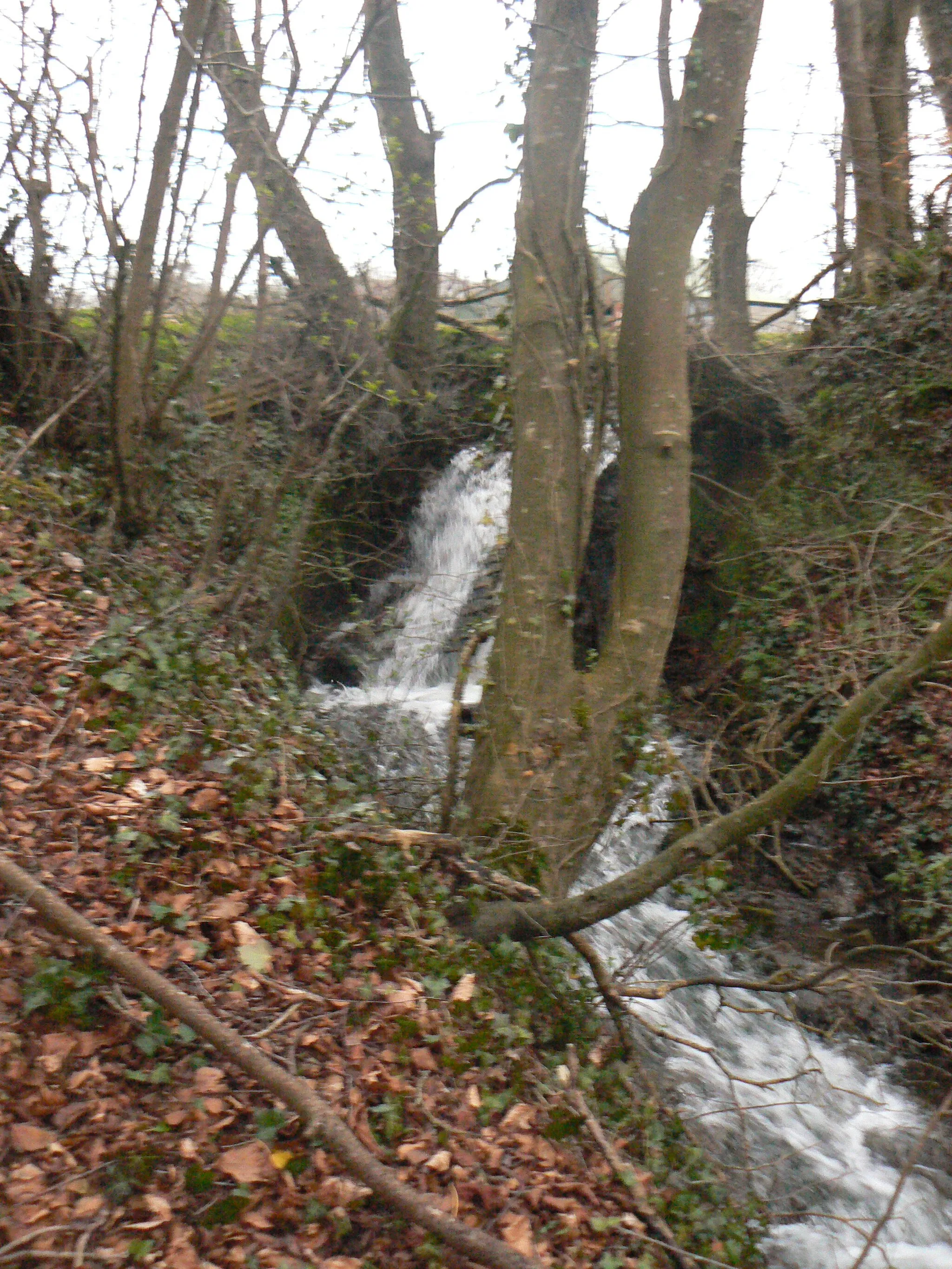 Photo showing: Dunshaughlin - Waterfall next to the old mill on the Killeen Road.