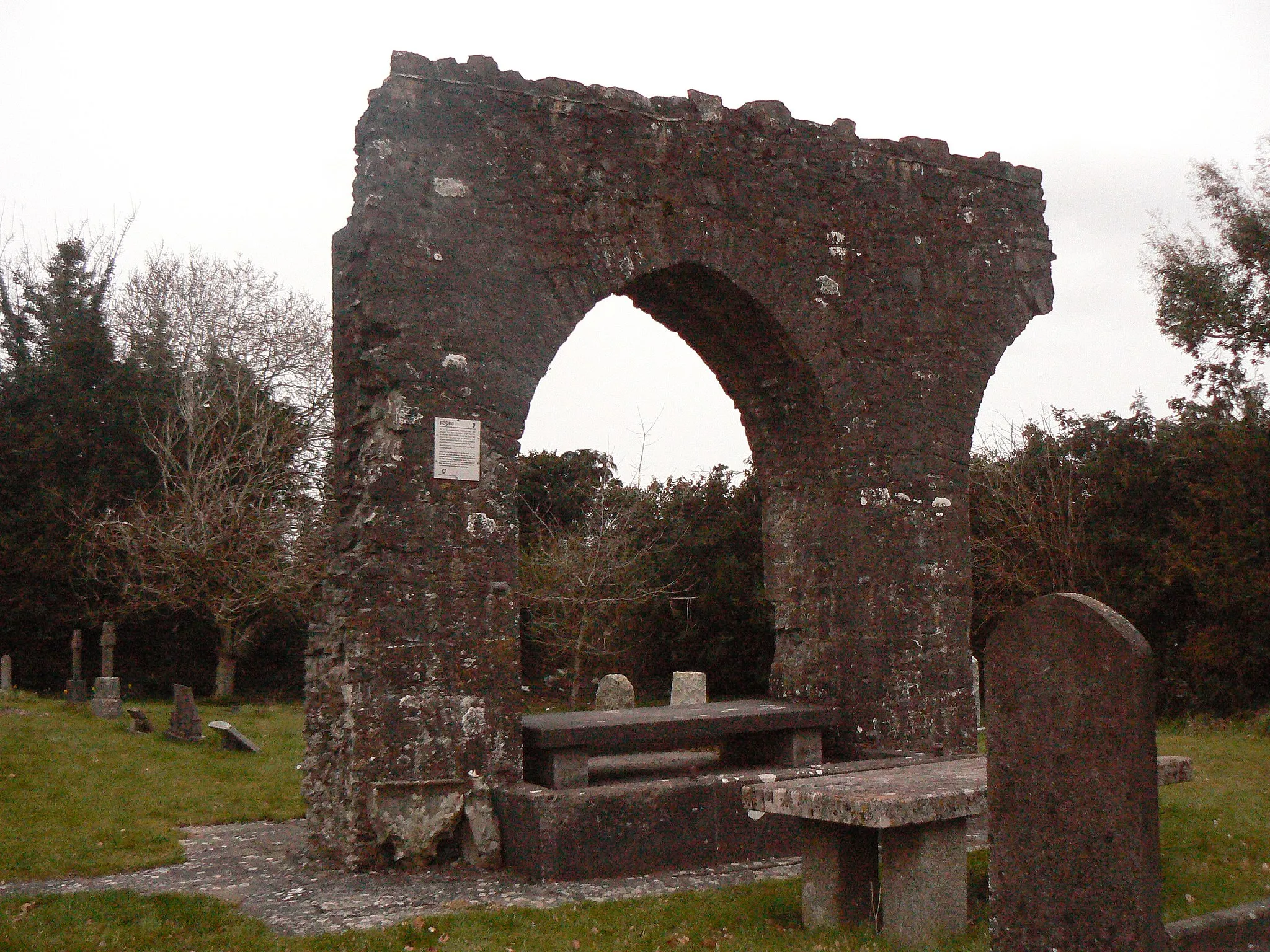 Photo showing: Remains of the monastic site of Saint Seachnall. Domhnach Seachnaill, Seachnall's Church, is the name in ecclesiastical sources for the town in Irish, while Dún Seachlainn appears in secular sources.