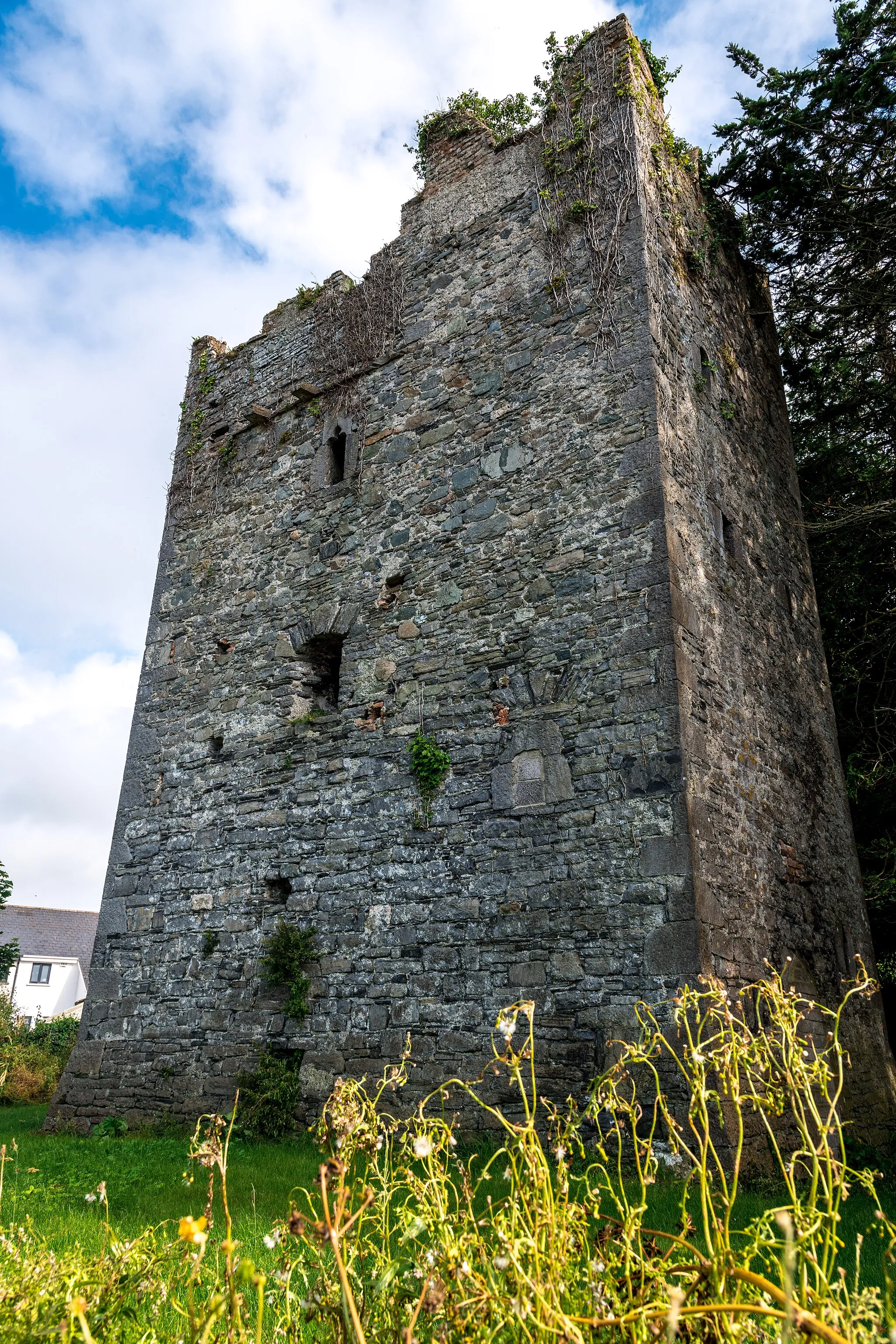 Photo showing: County Dublin, Balrothery Tower.