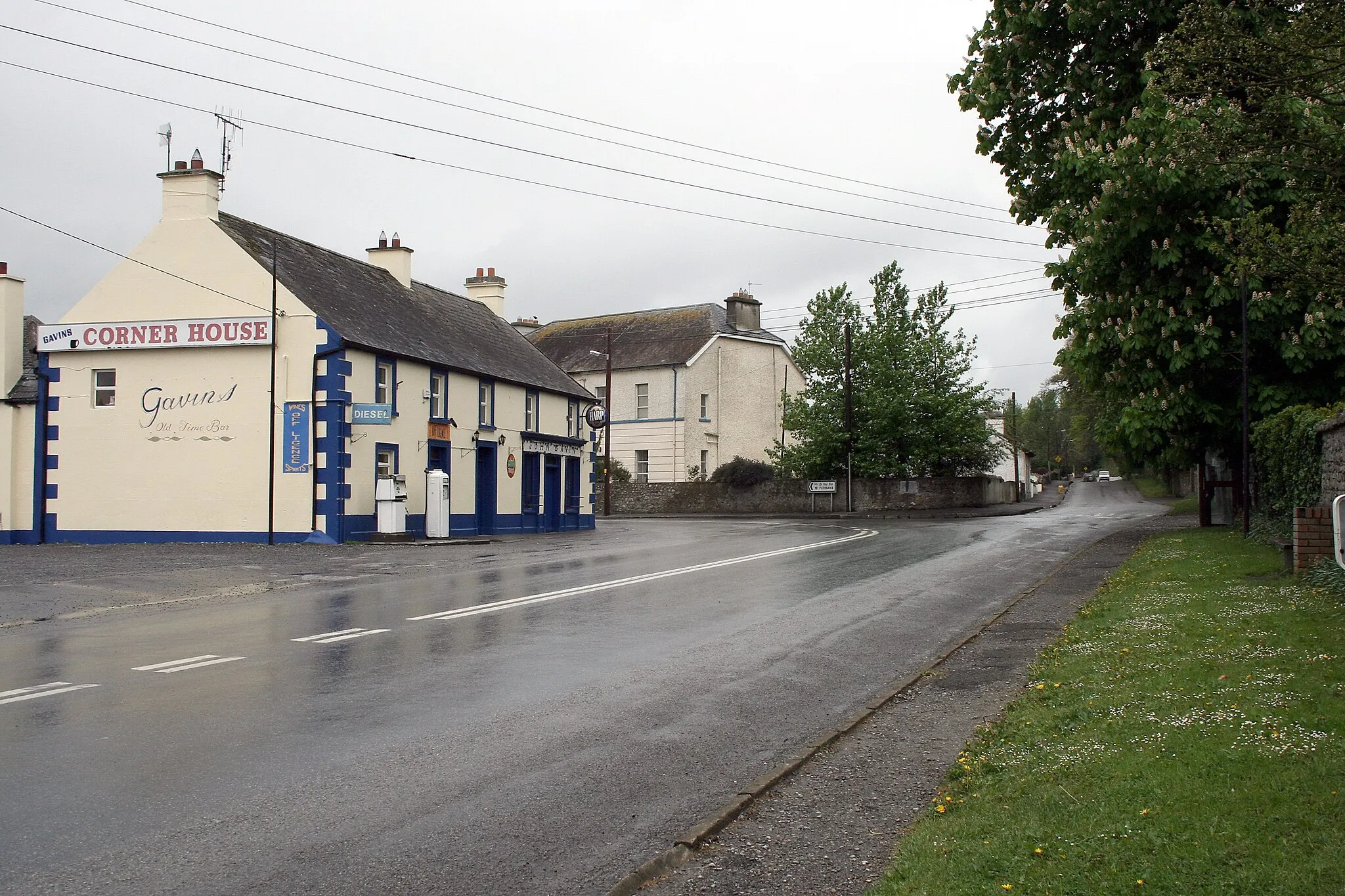 Photo showing: On the R426 on a rainy day in Ballycumber, County Offaly